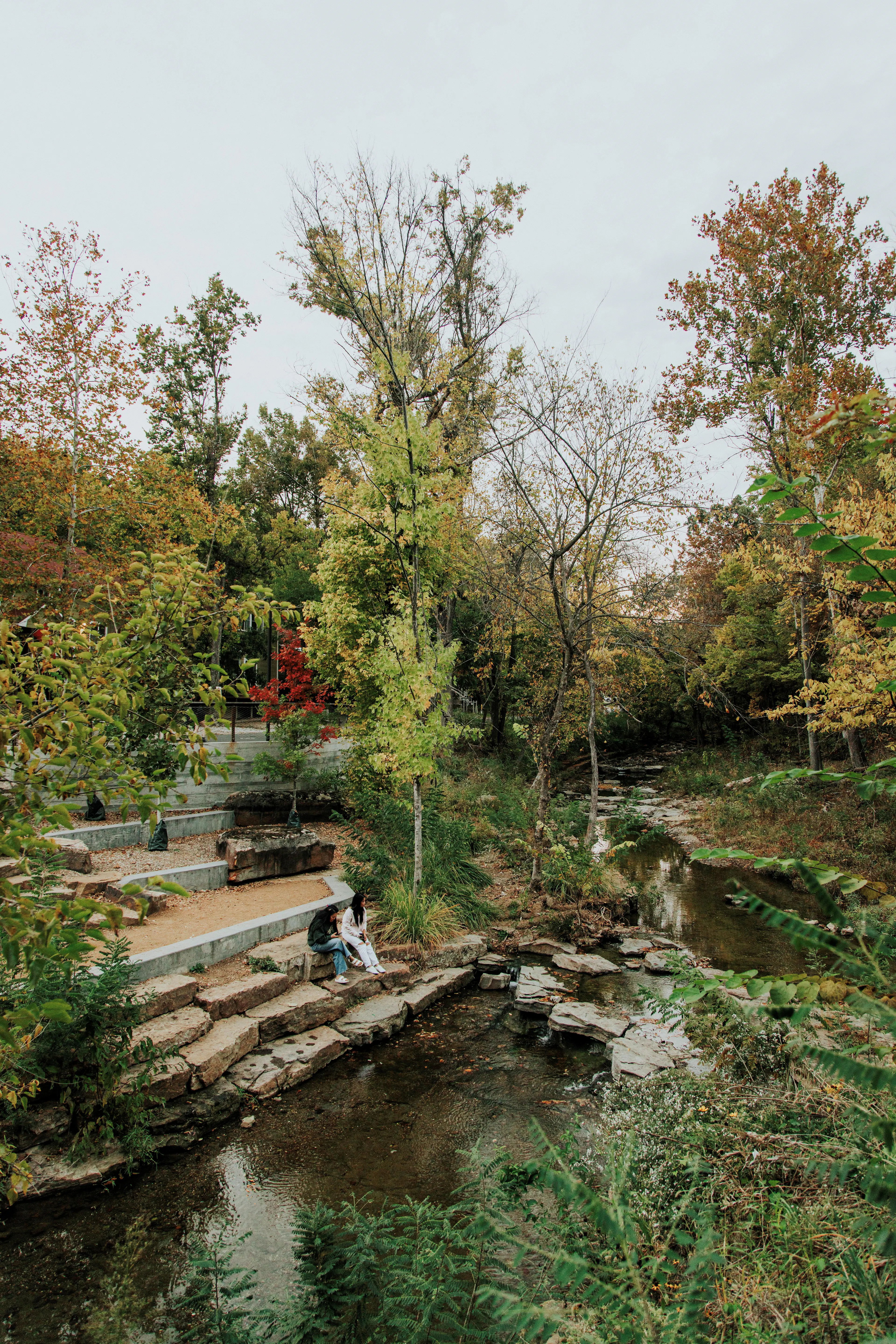 The Lower Ramble — 5