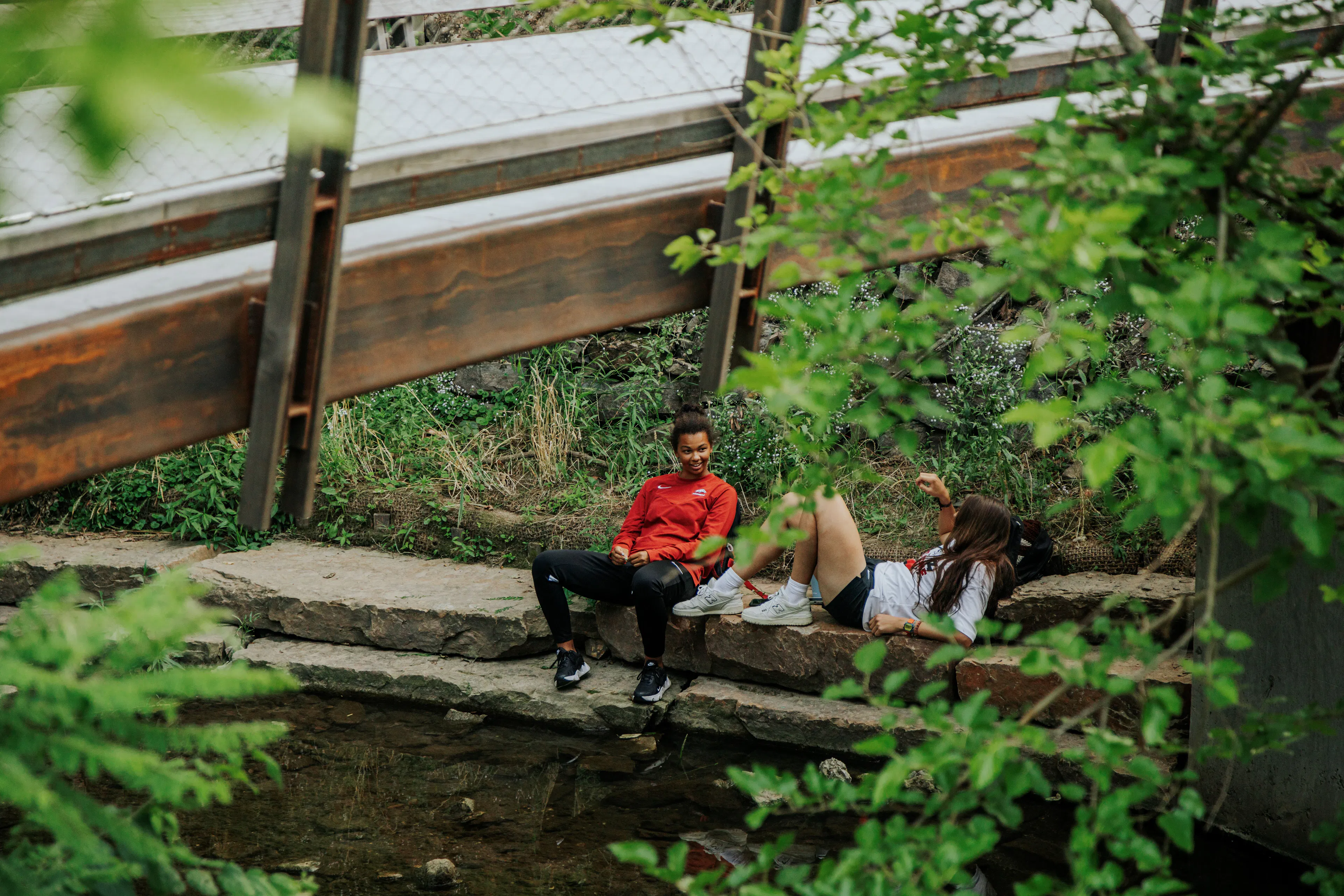 The Lower Ramble — 10