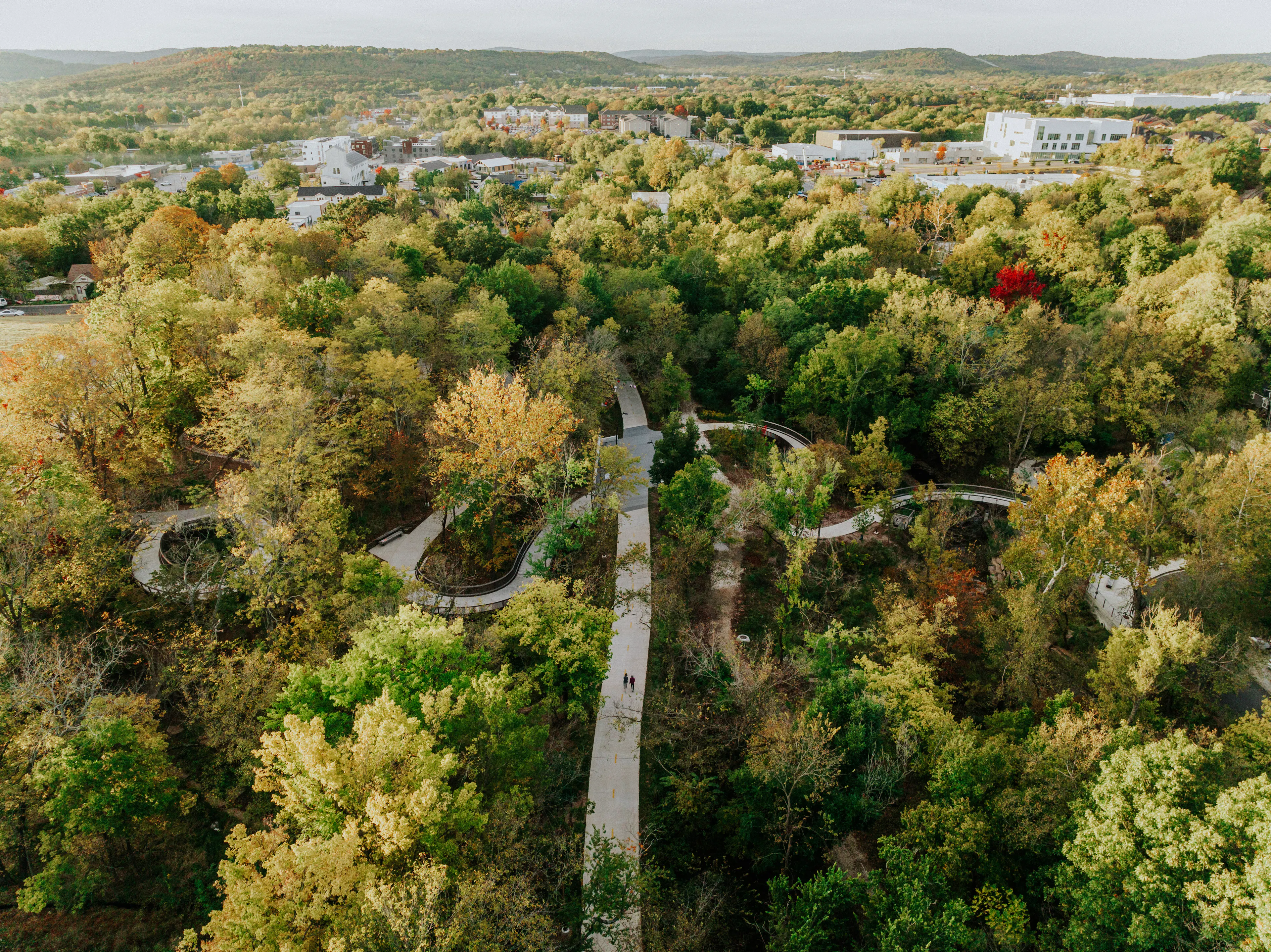 The Lower Ramble — 11