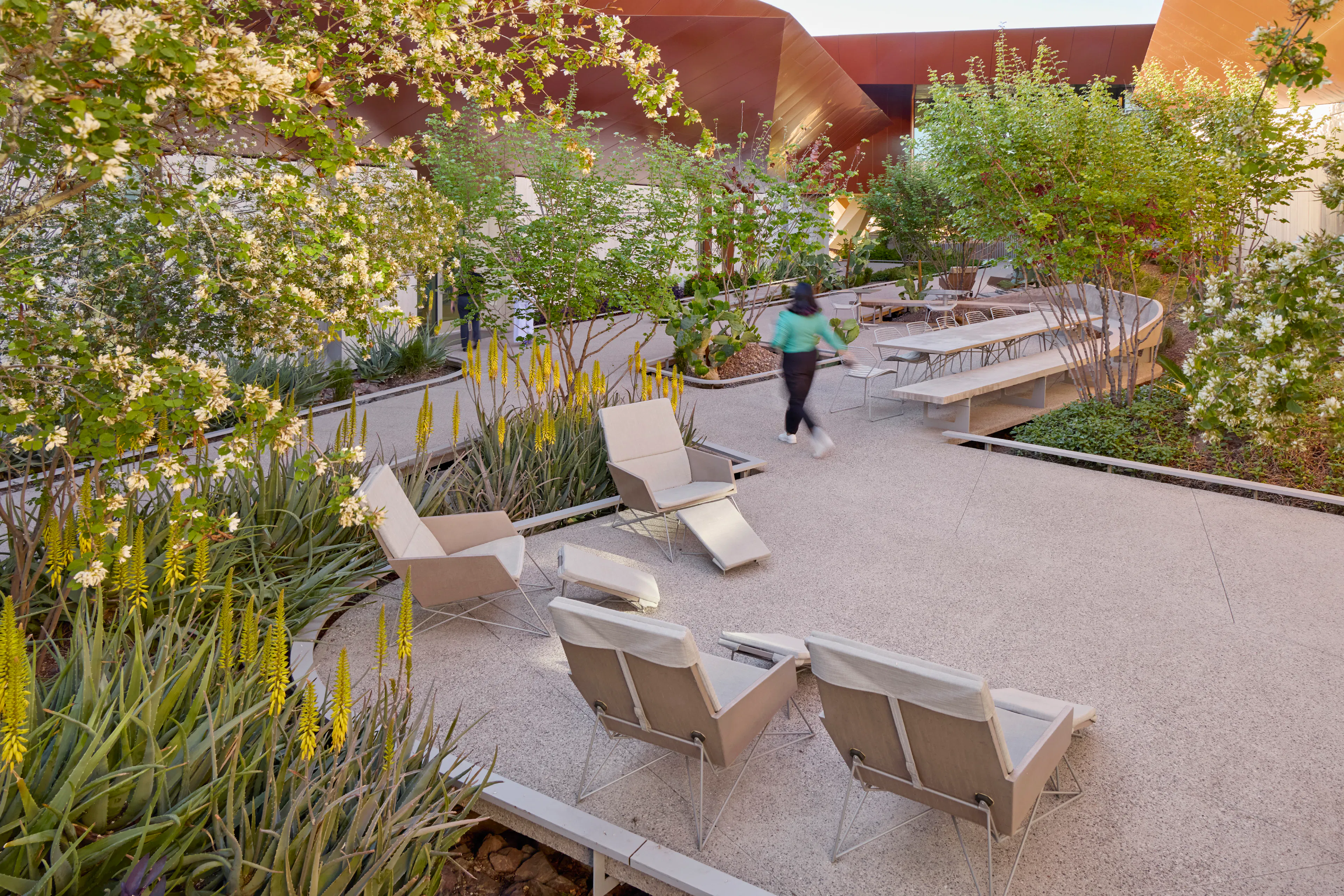 Helios Education Foundation — 2