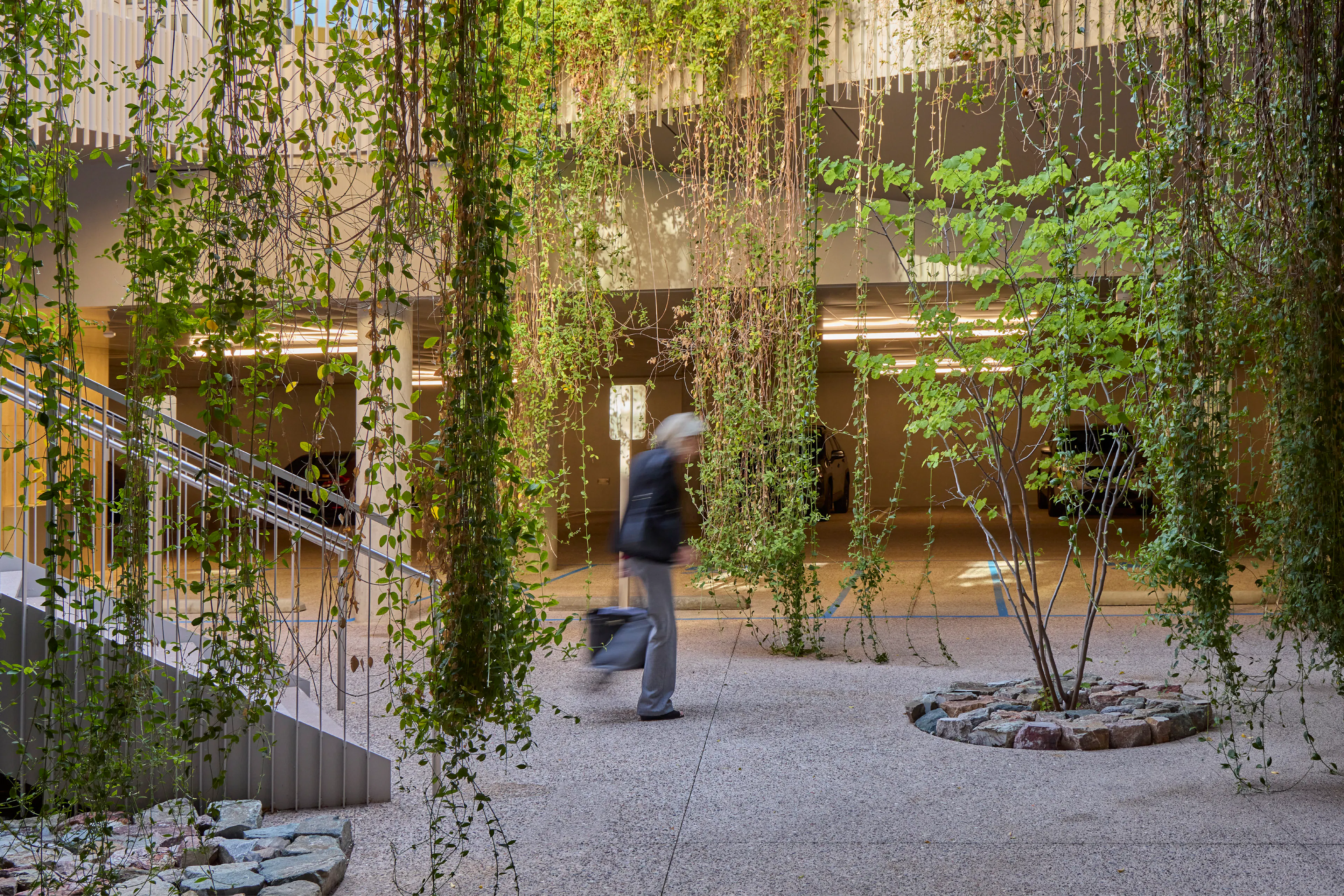 Helios Education Foundation — 8