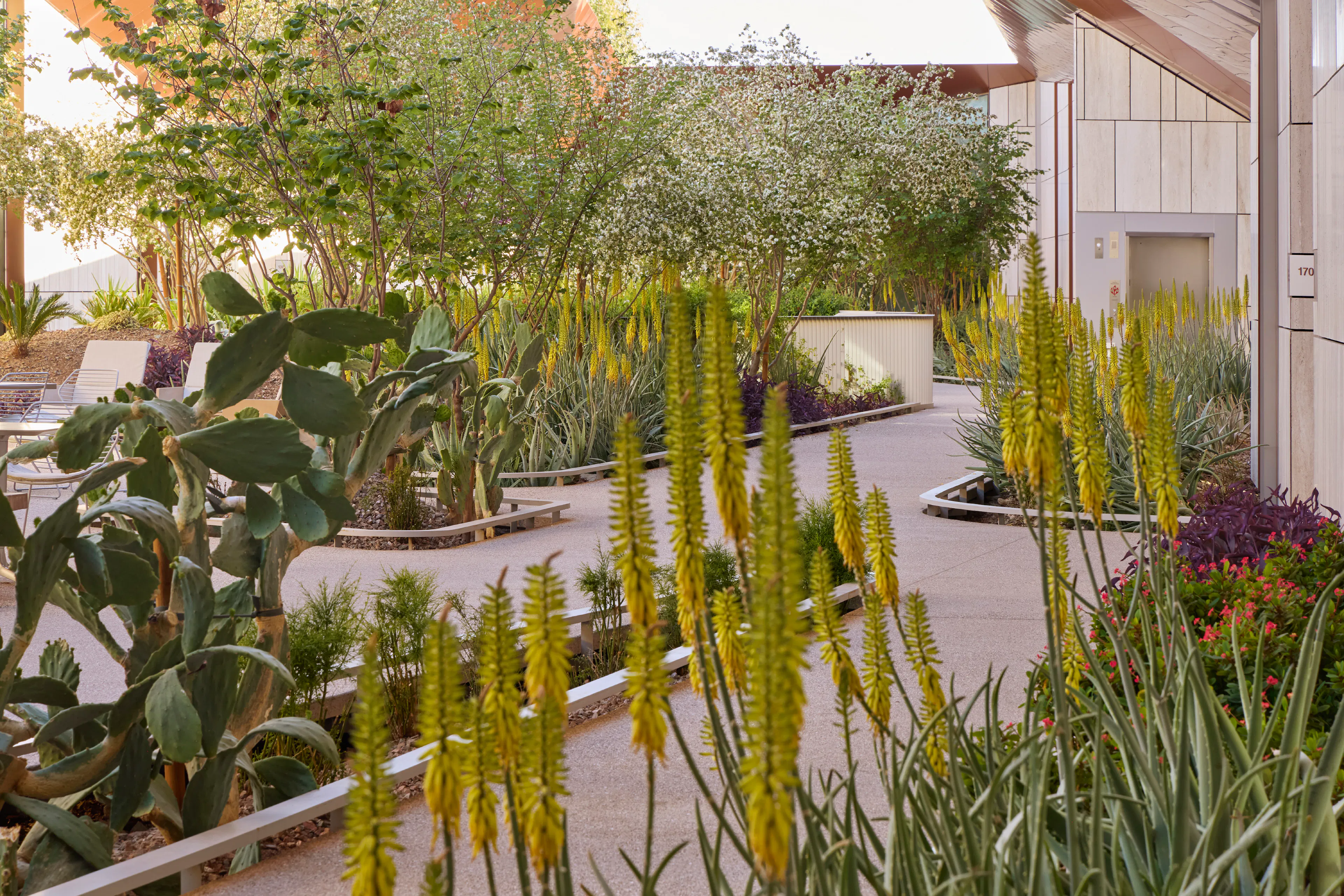 Helios Education Foundation — 3