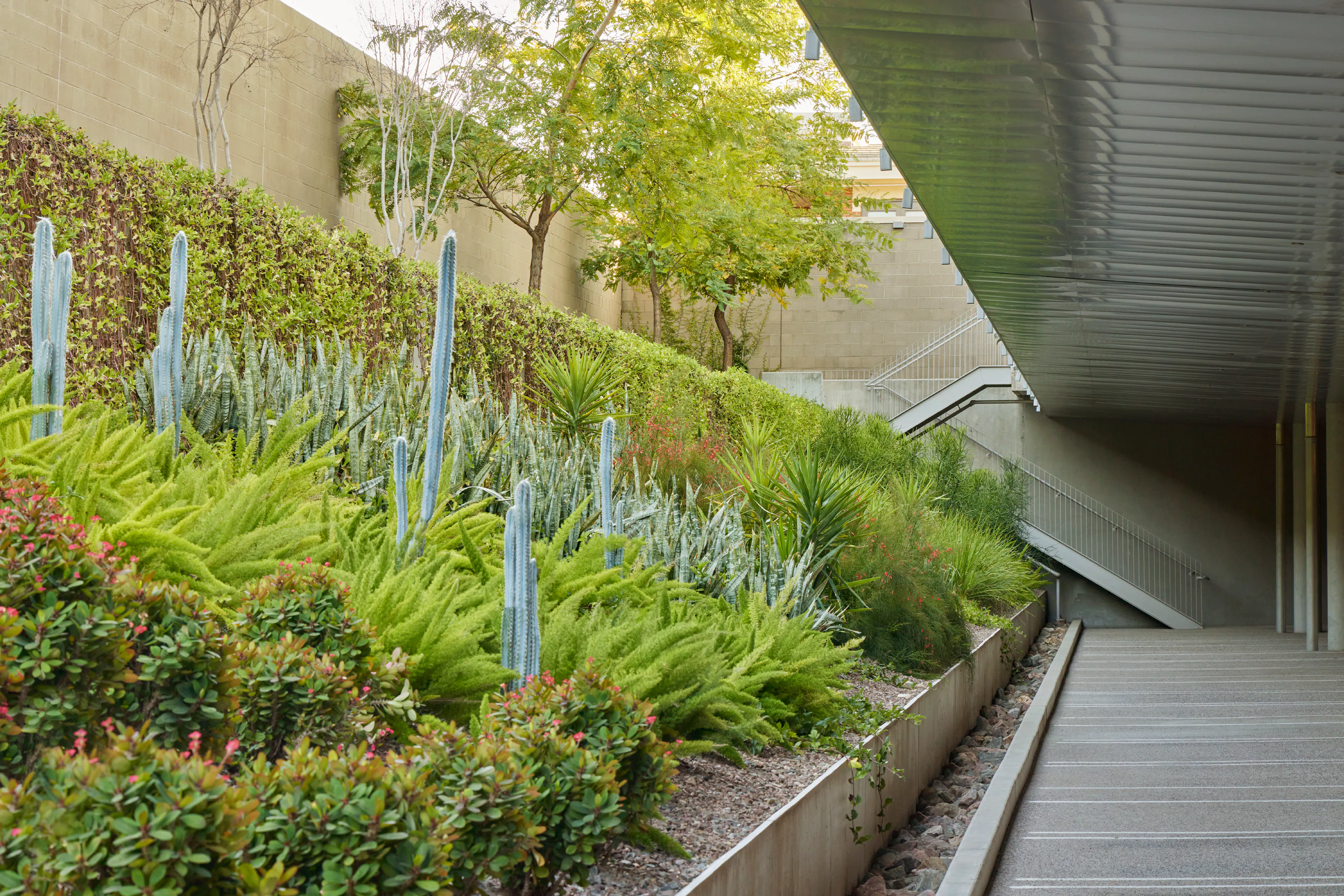 Helios Education Foundation — 10