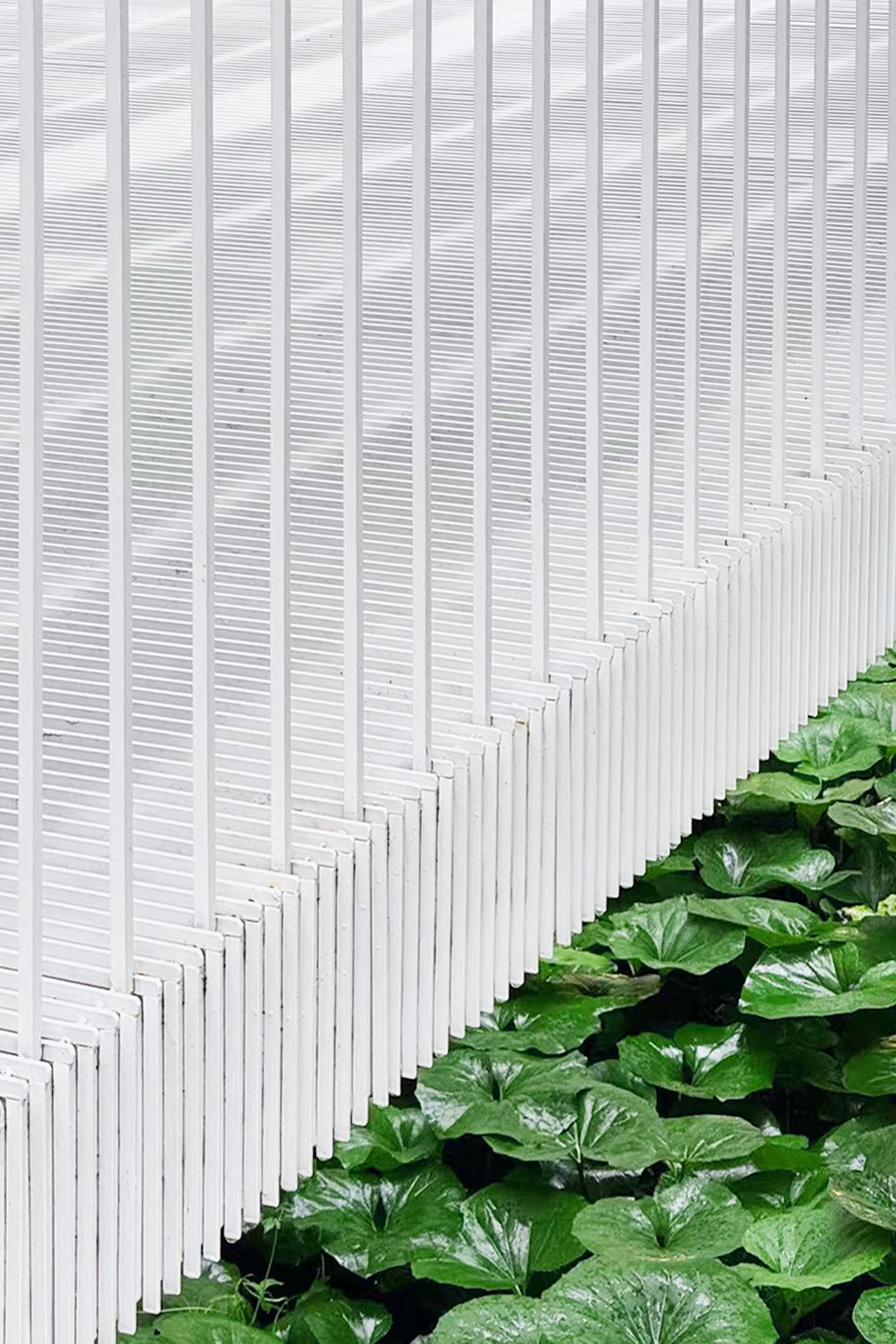 Yanlord Arcadia_Lacy Steps — 8