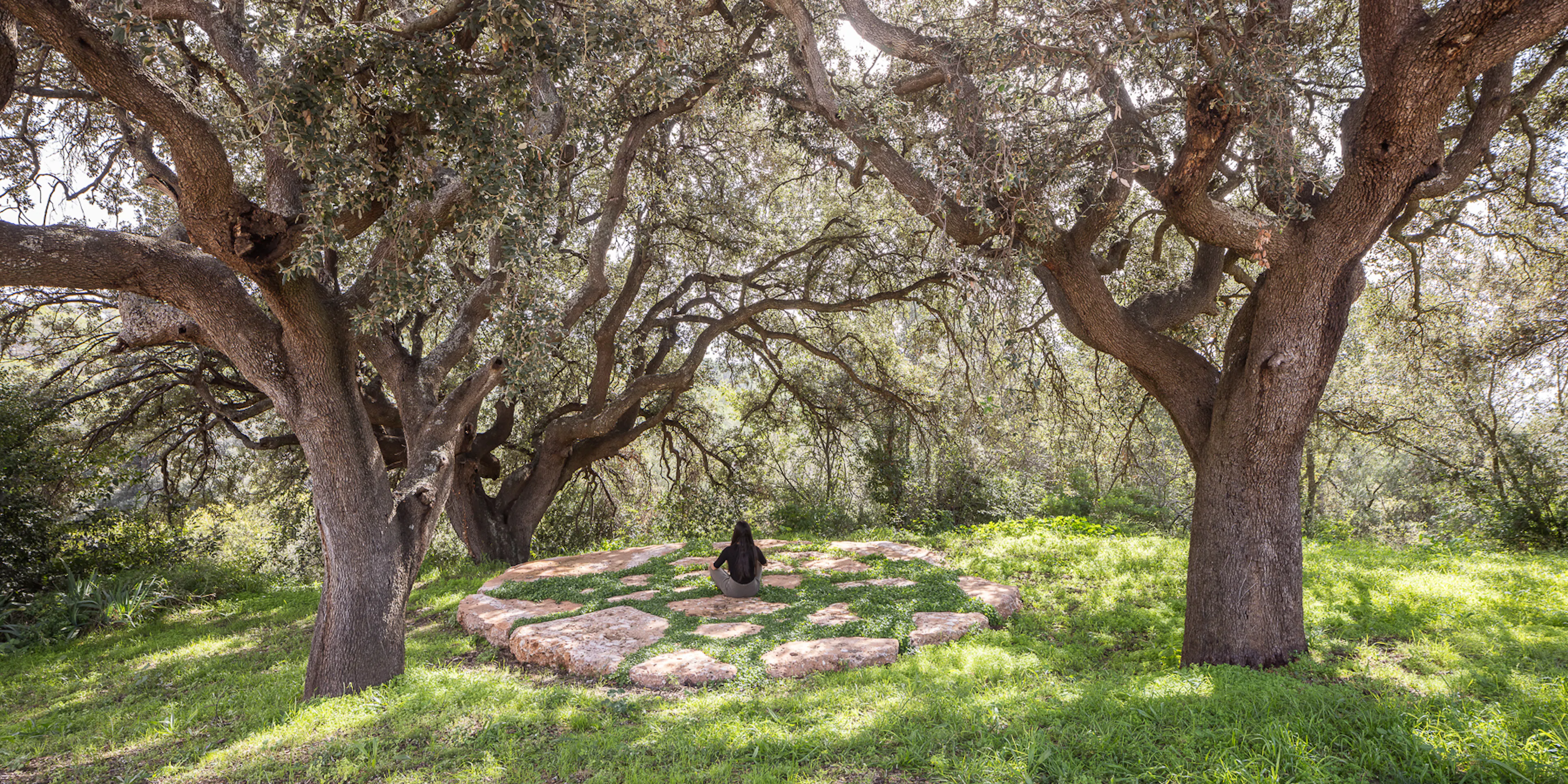 Hotel Masía Can Farrés. Restoring the links between architecture and landscape — 8