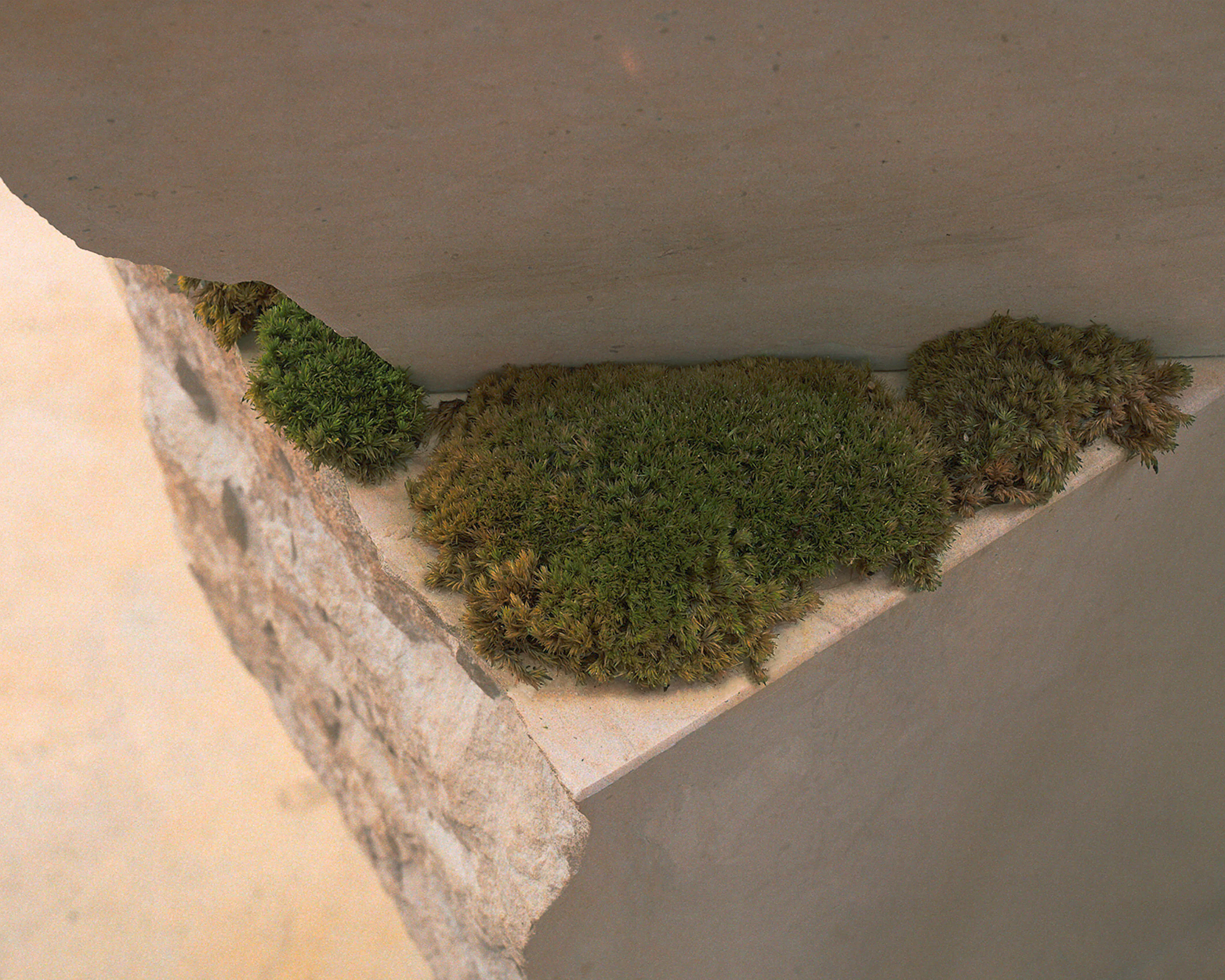 15 ESSENTIALS — 23