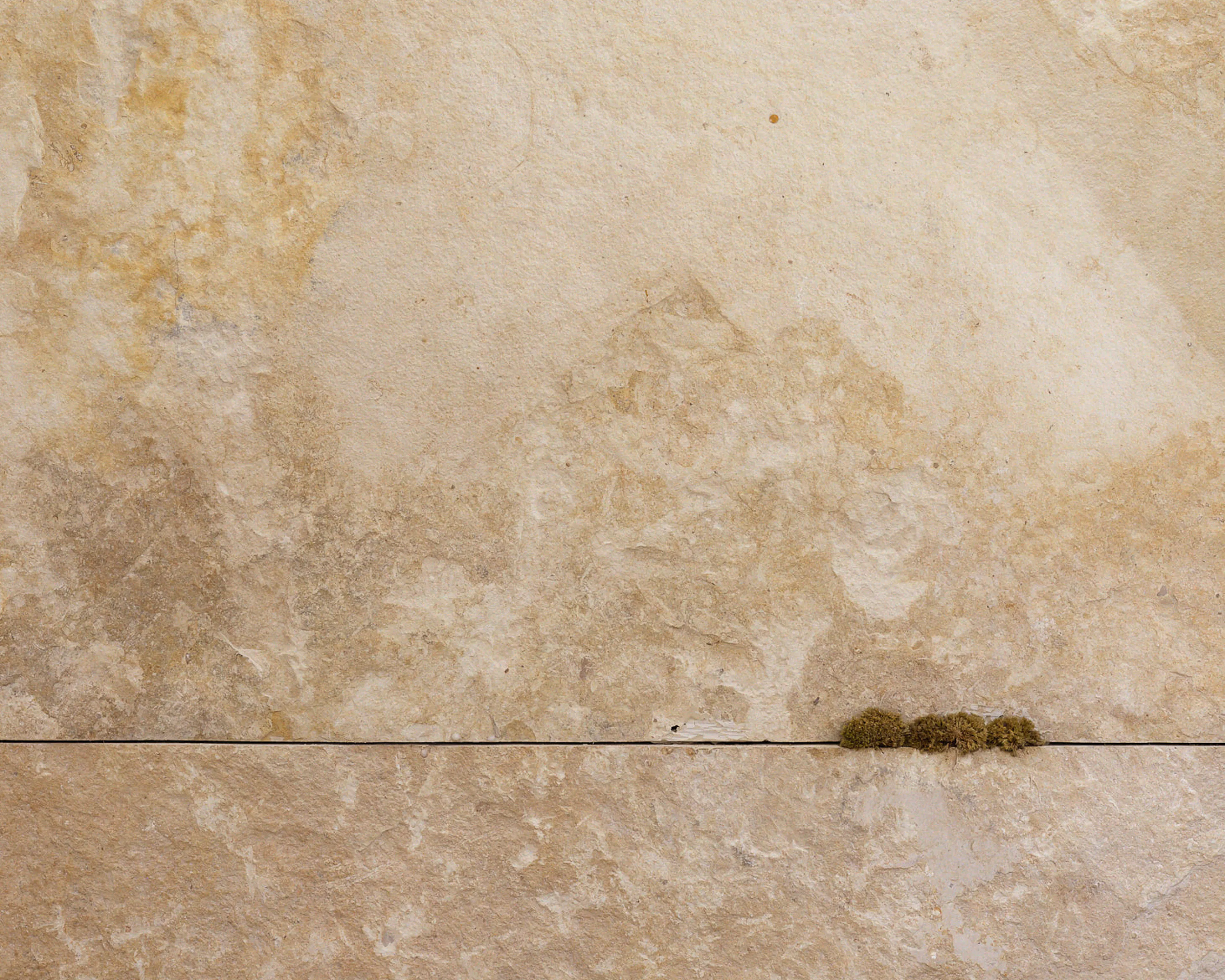 15 ESSENTIALS — 25