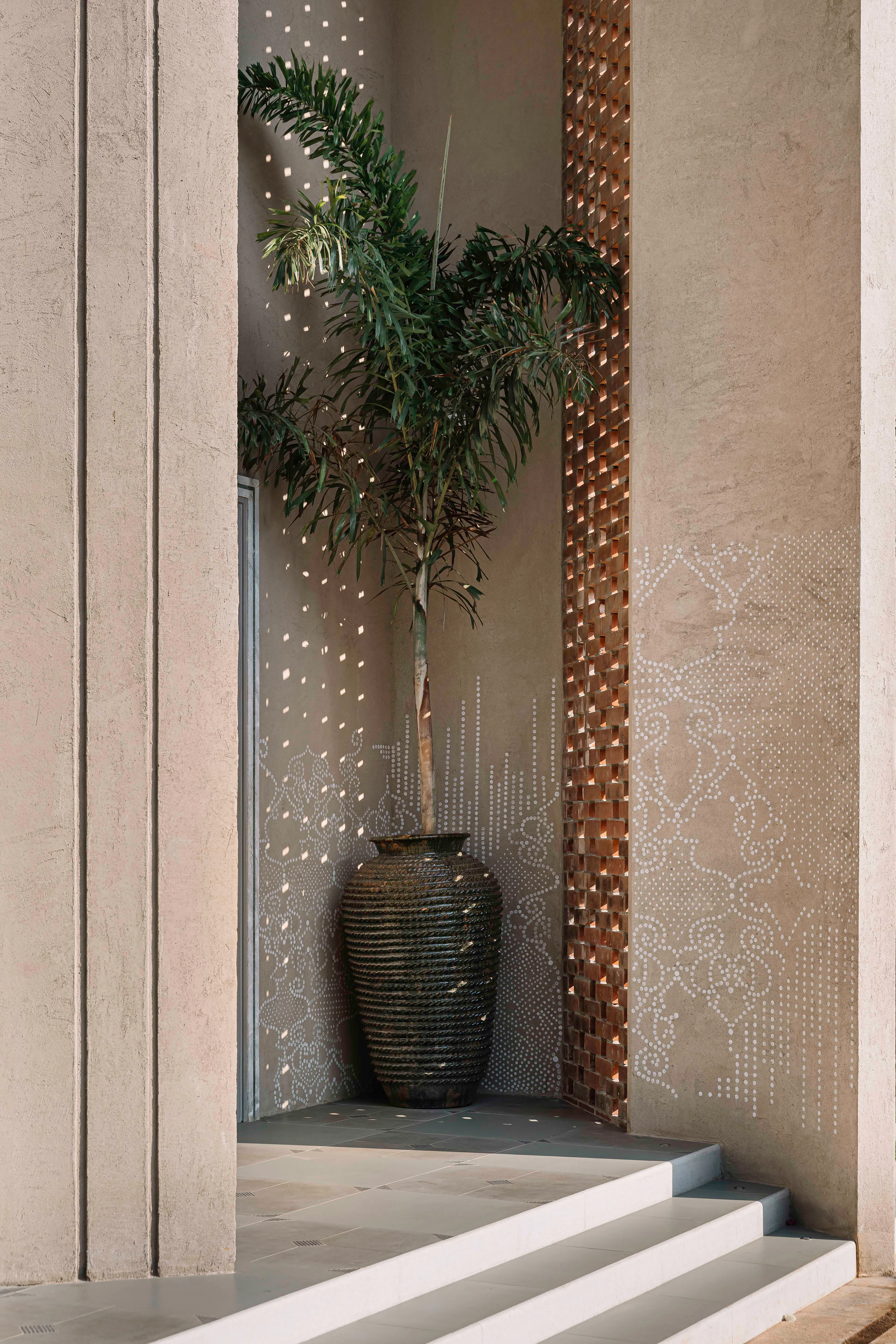 Pennyroyal Tea — 4