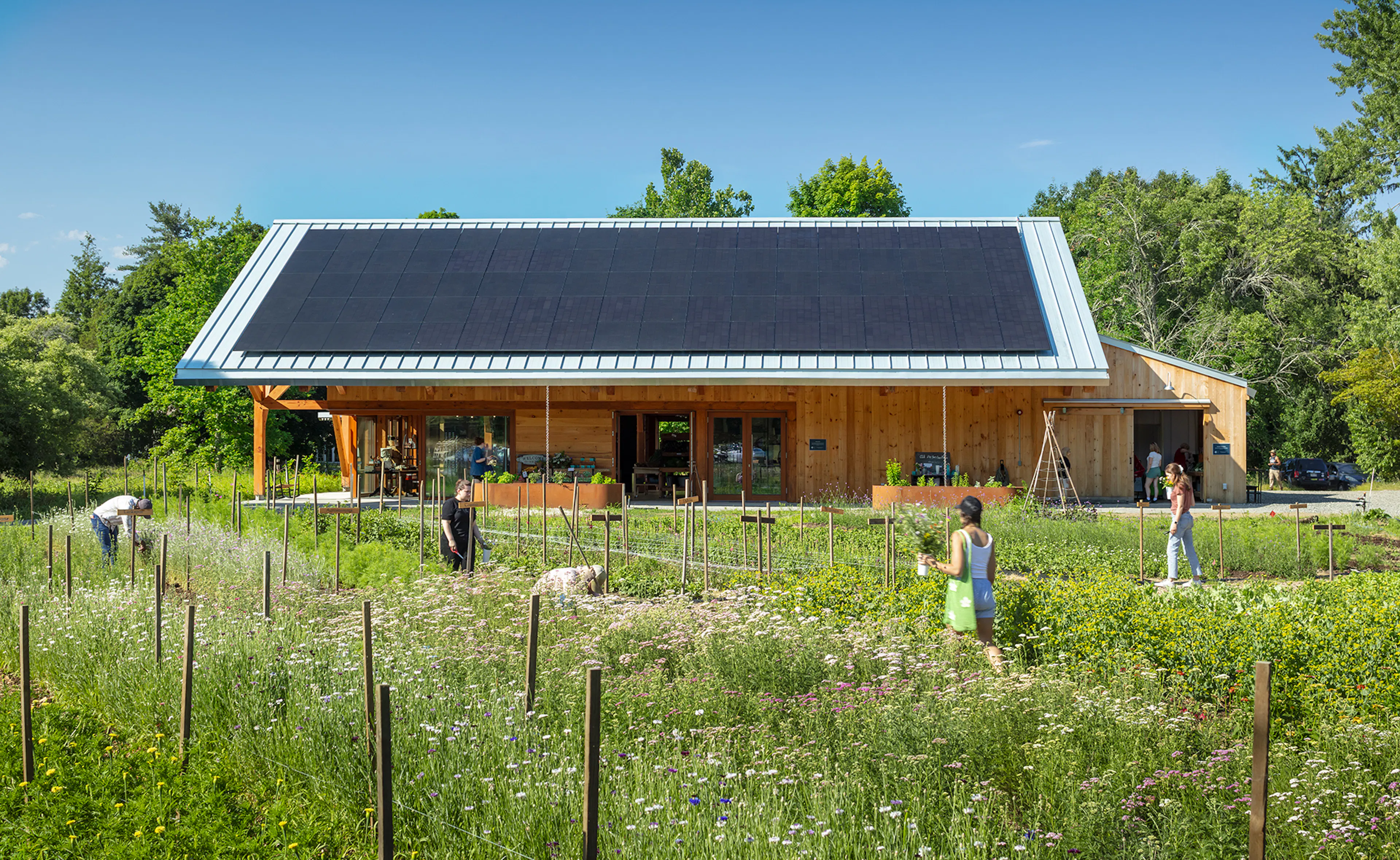 Land's Sake Farm, New Farmstand, Education Pavilion and Barn — 15