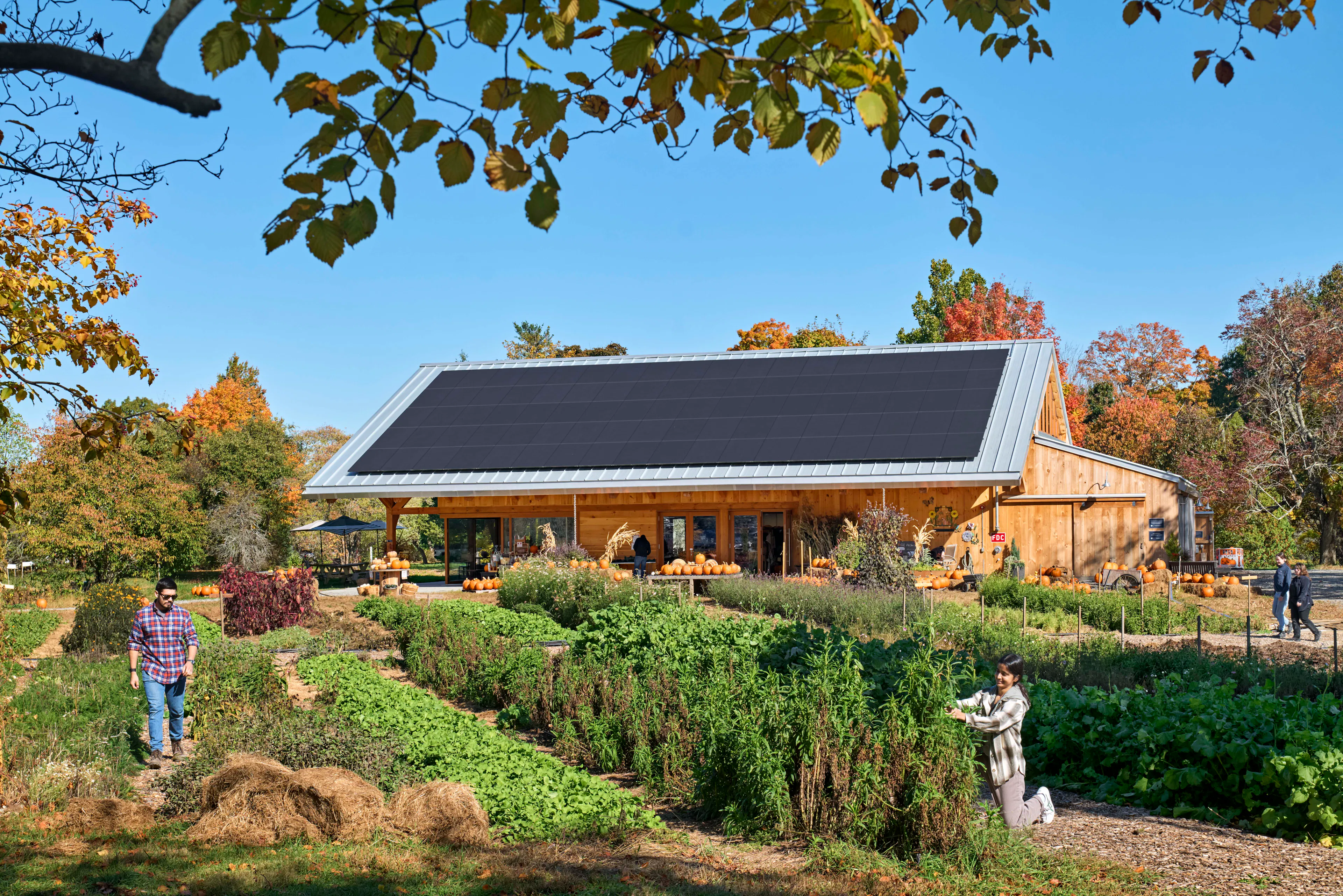 Land's Sake Farm, New Farmstand, Education Pavilion and Barn — 25