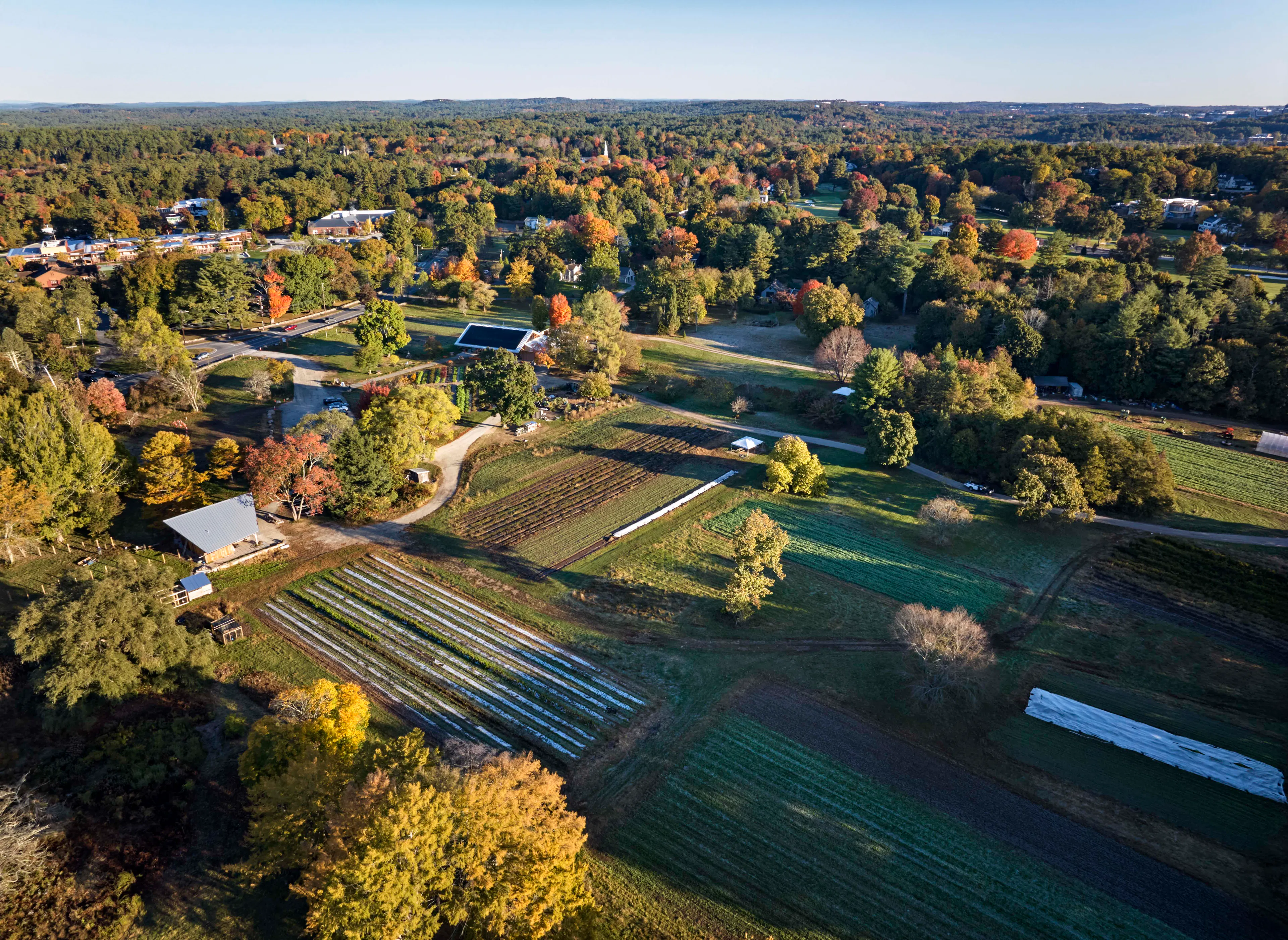 Land's Sake Farm, New Farmstand, Education Pavilion and Barn — 3