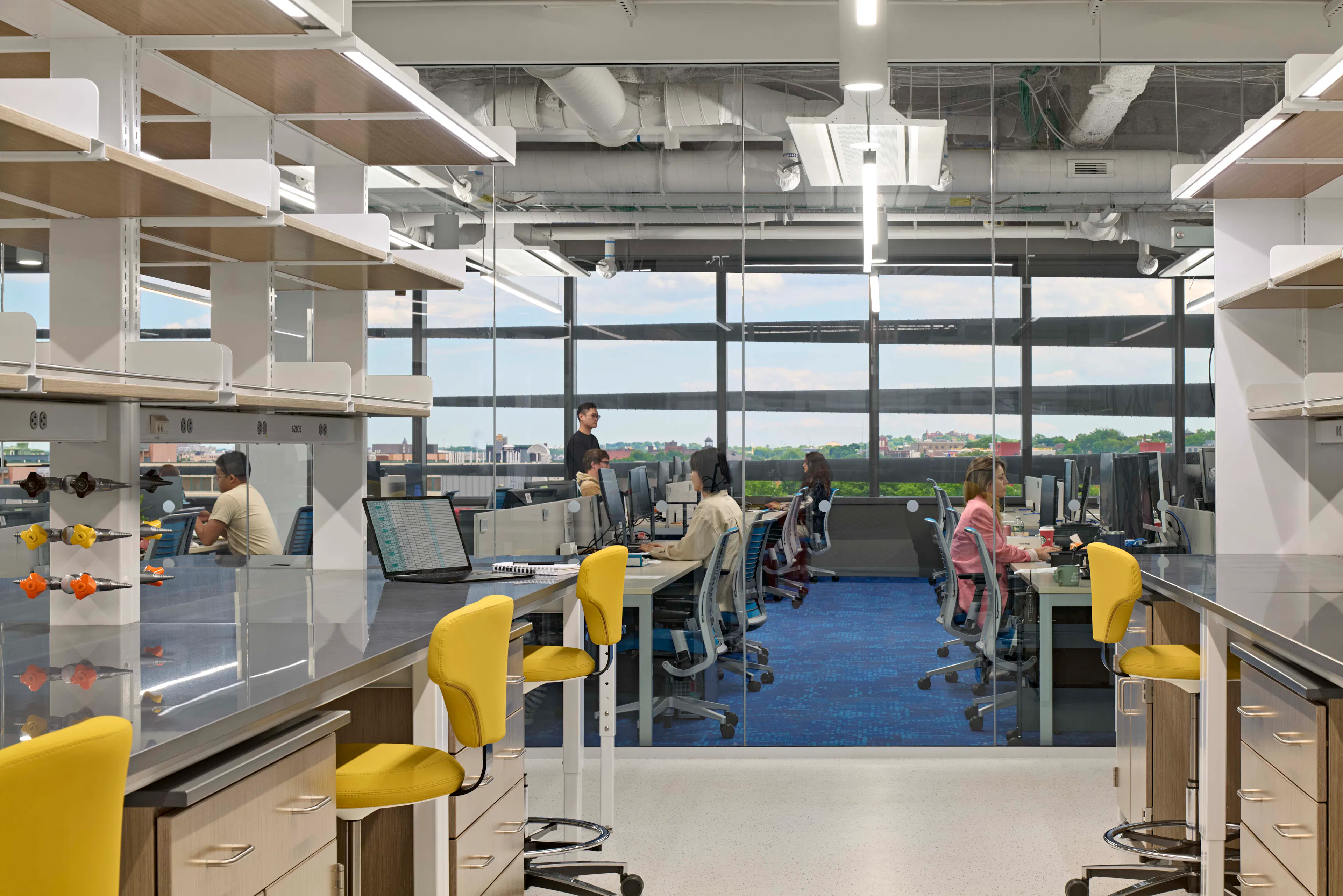 Northeastern University, EXP — 13