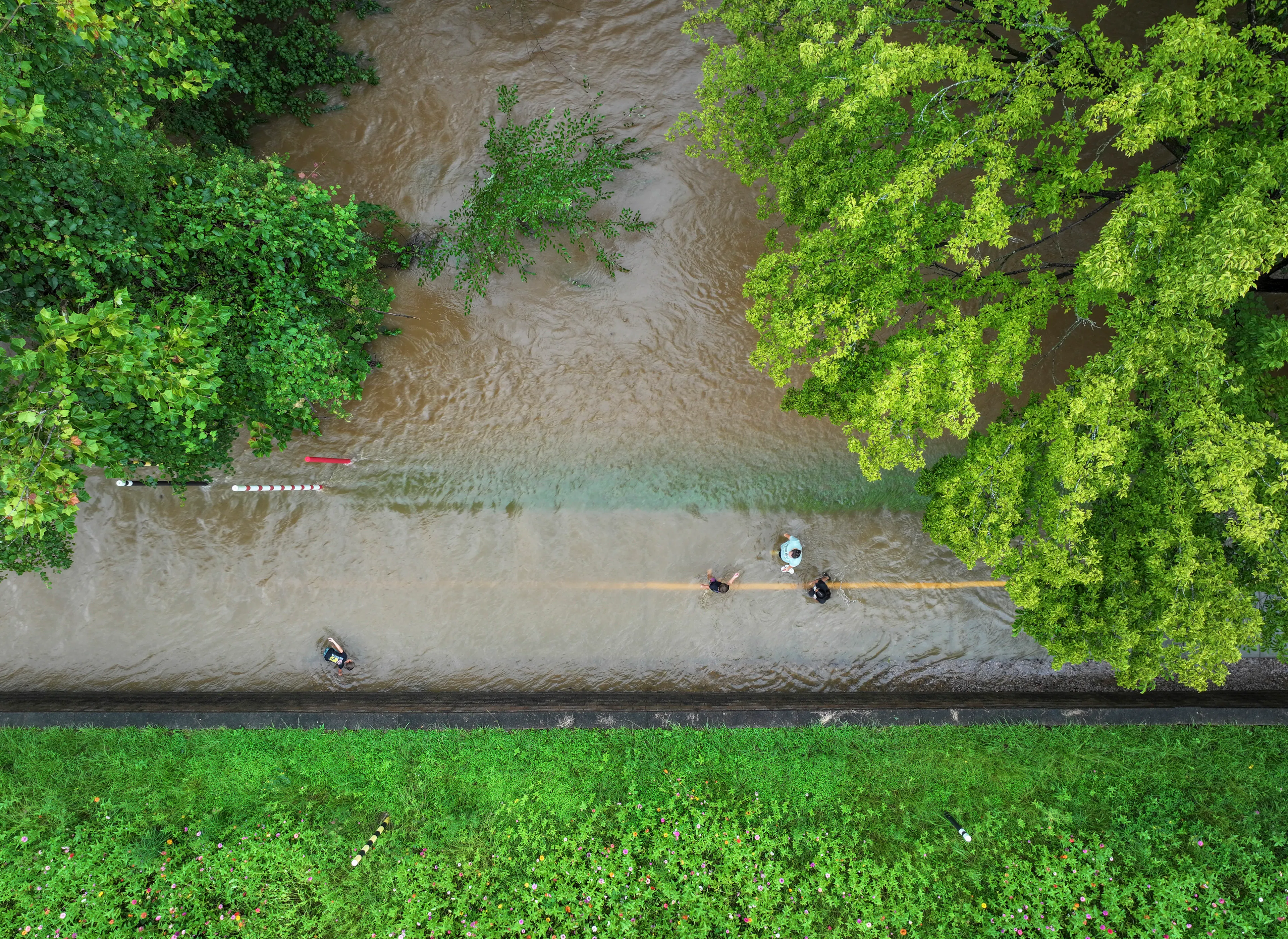 Alluvial Decoder (City of Raleigh Storm Memorial) — 10
