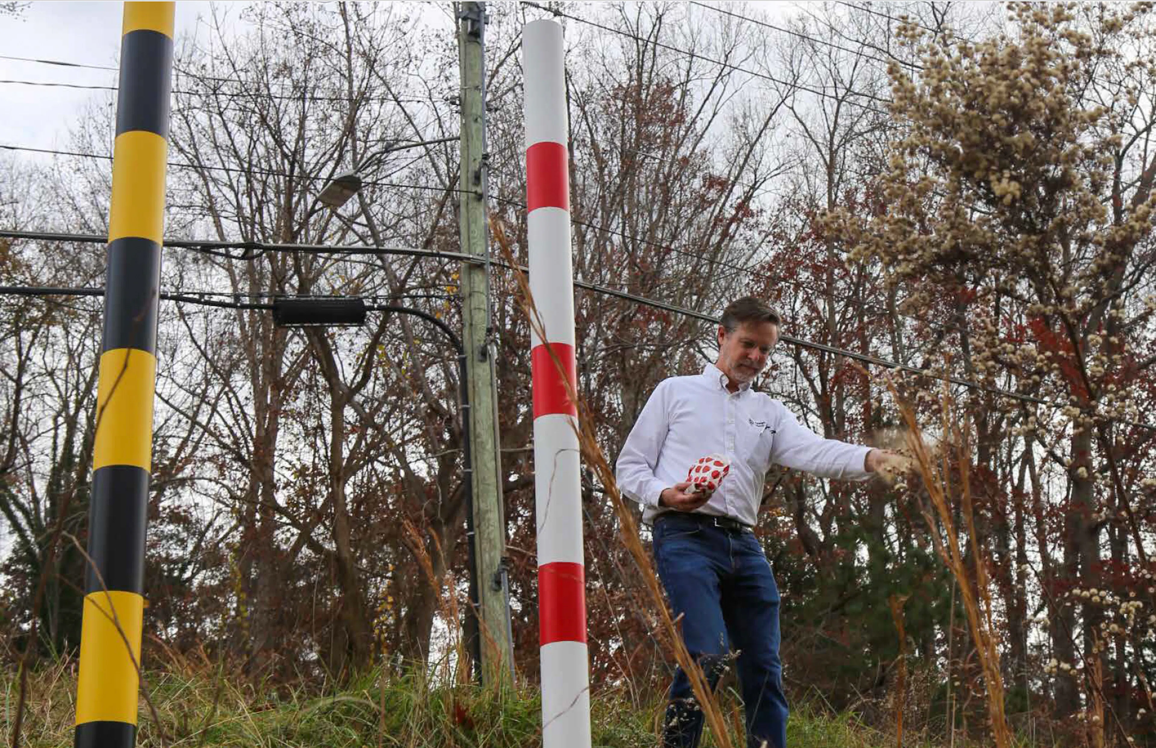 Alluvial Decoder (City of Raleigh Storm Memorial) — 17