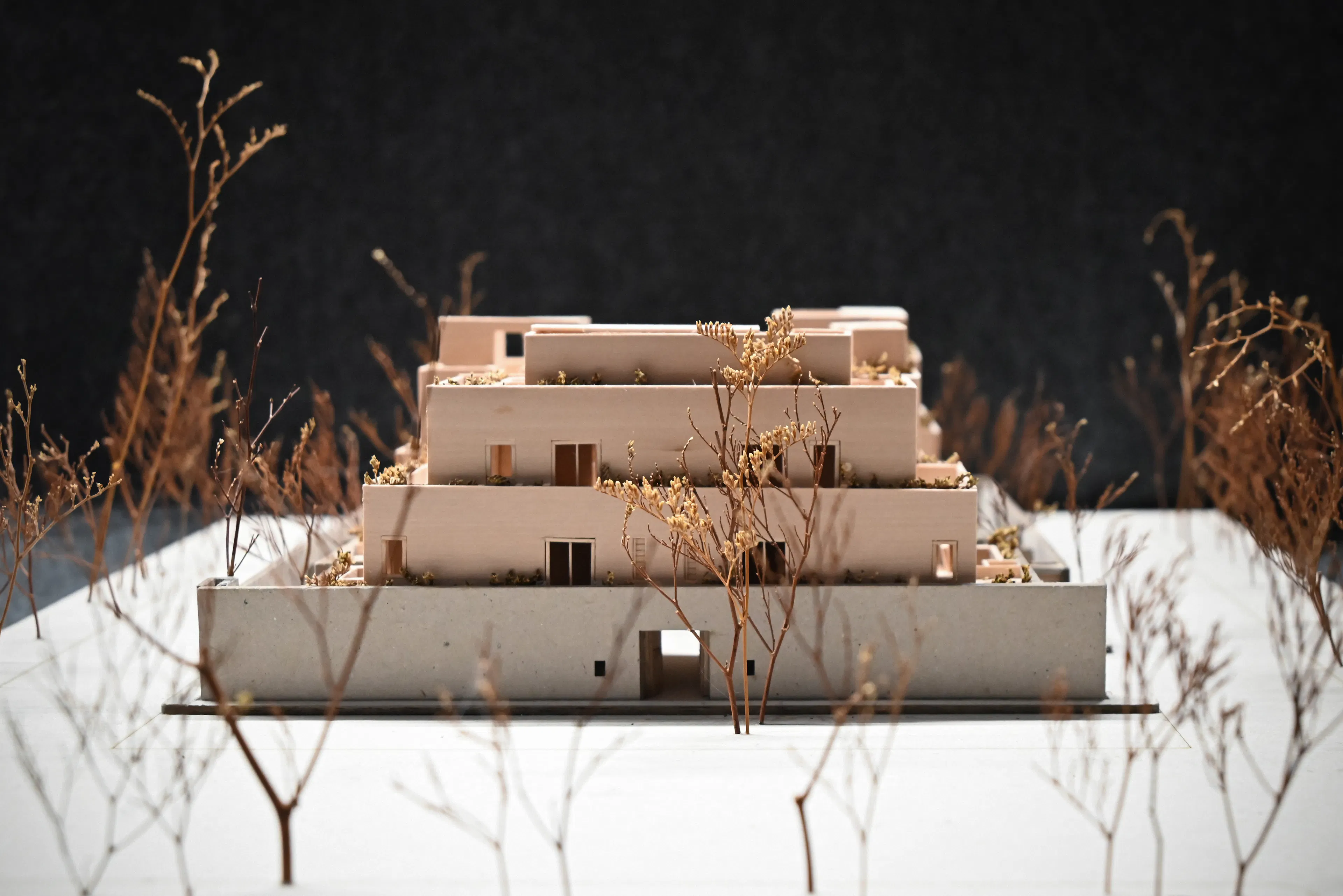 Hacienda Wabi — 35