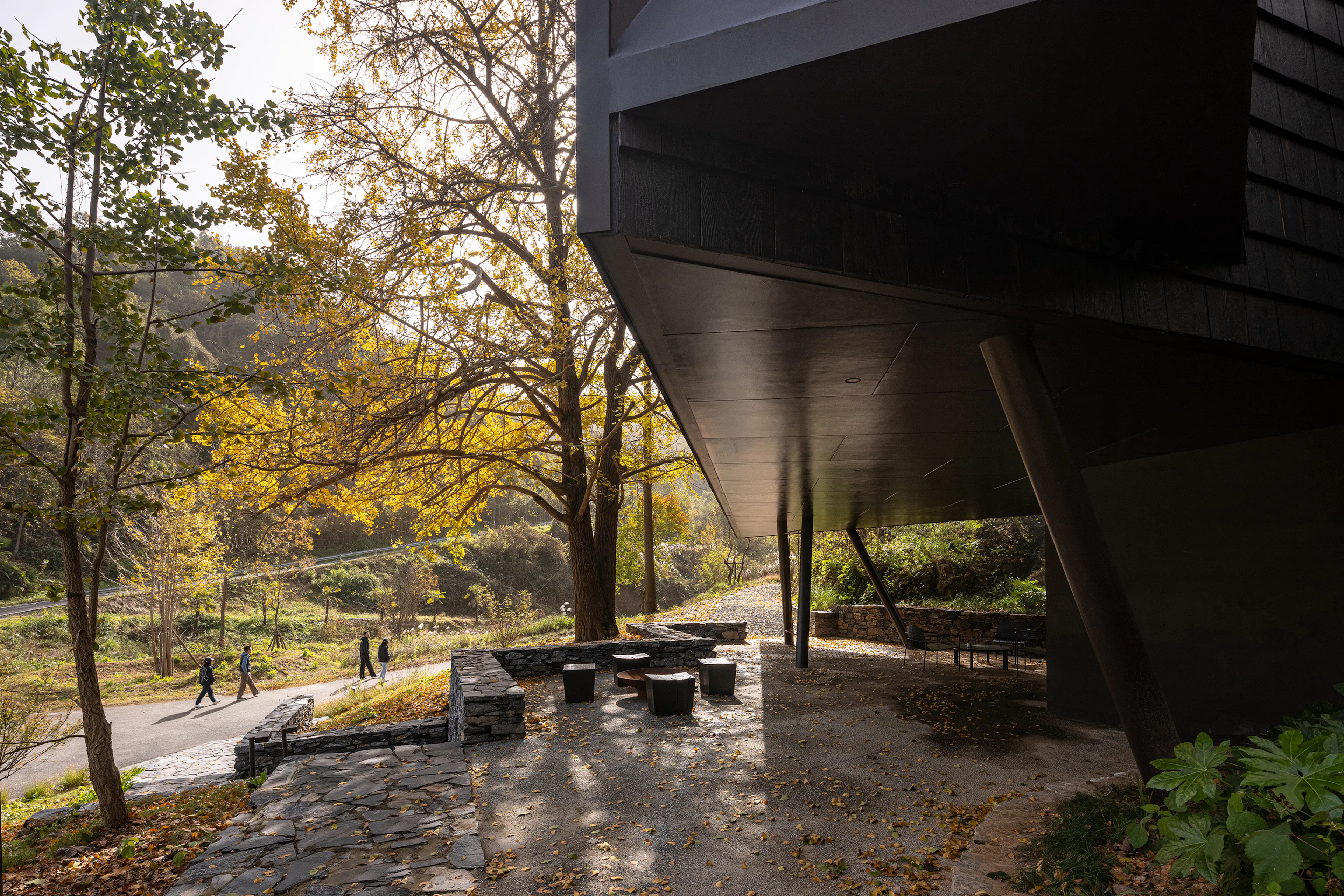 Ginkgo Valley·Treehouse — 6