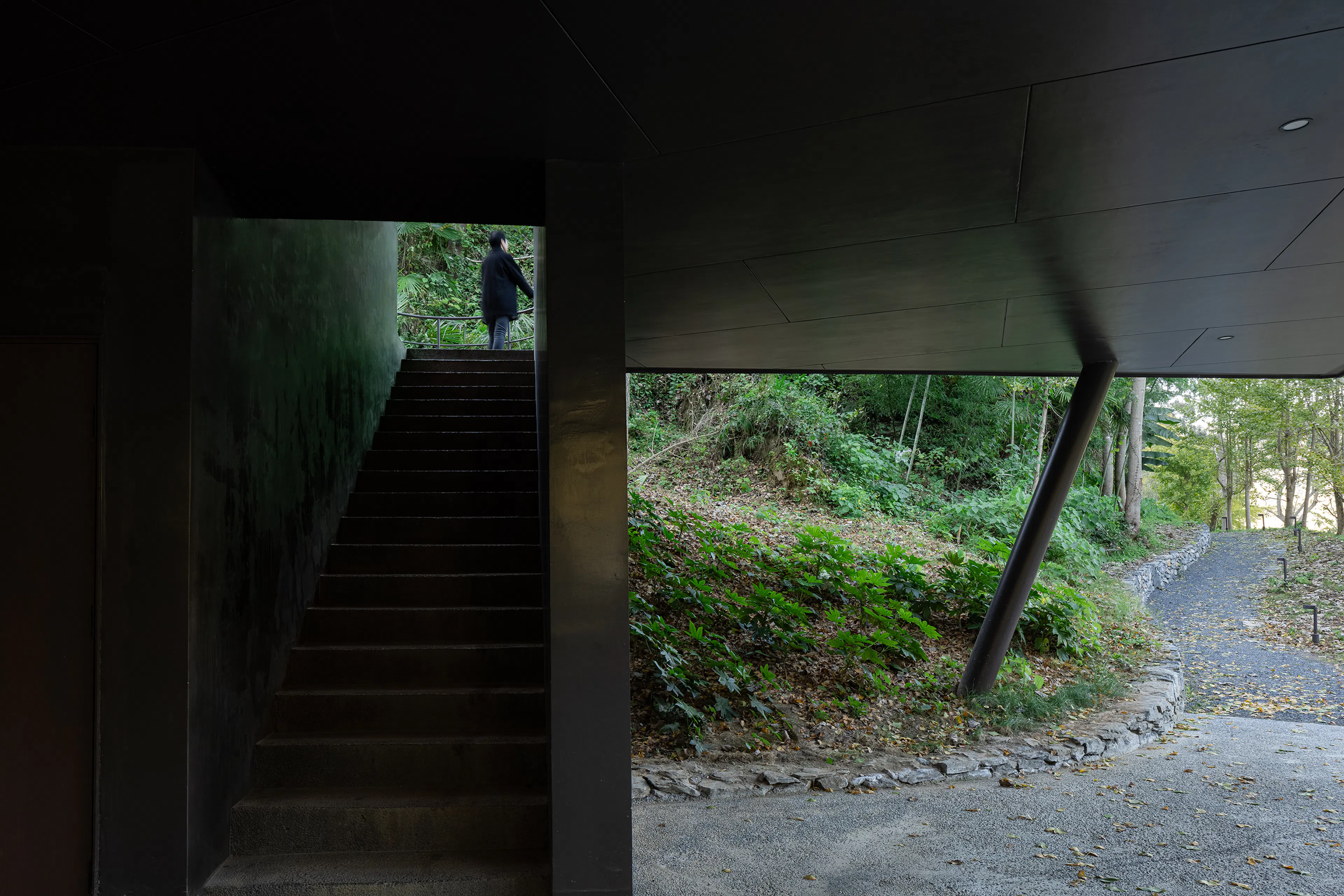 Ginkgo Valley·Treehouse — 3