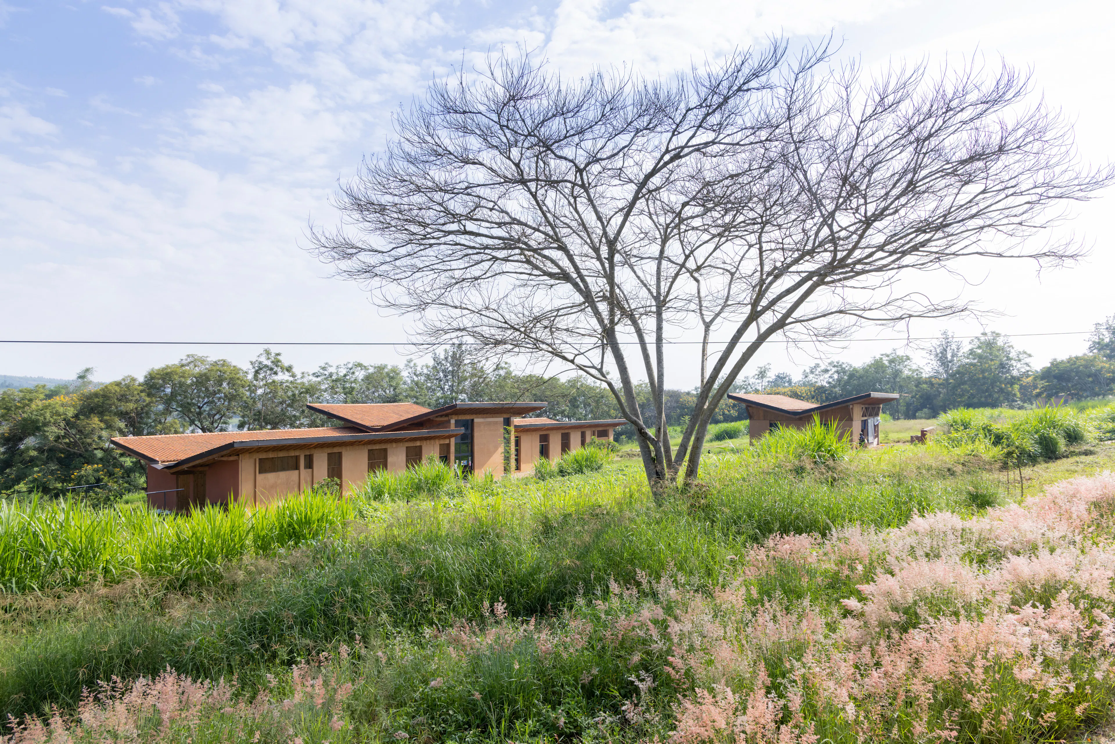 The Rwanda Institute for Conservation Agriculture — 4