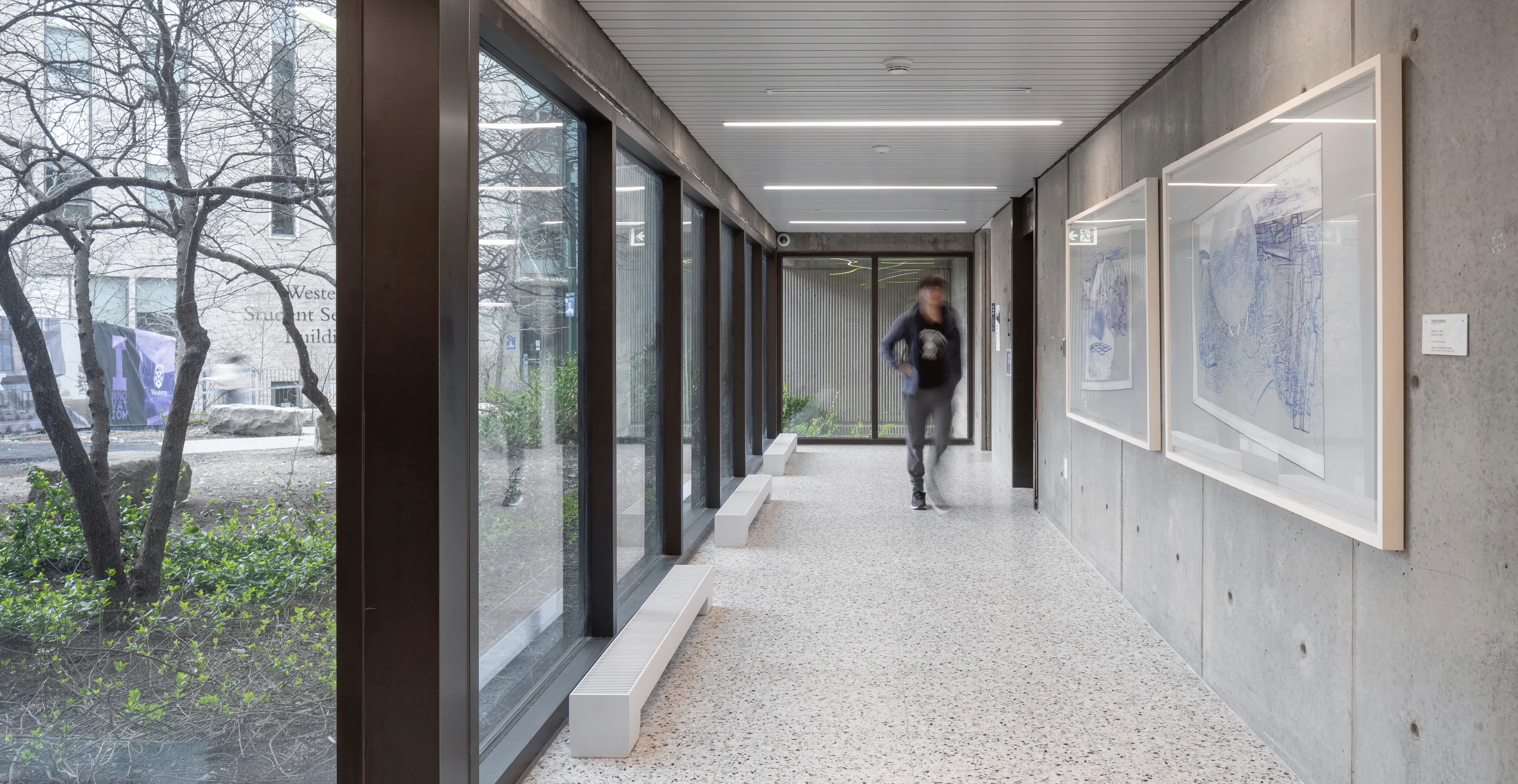 Weldon Library Revitalization — 8