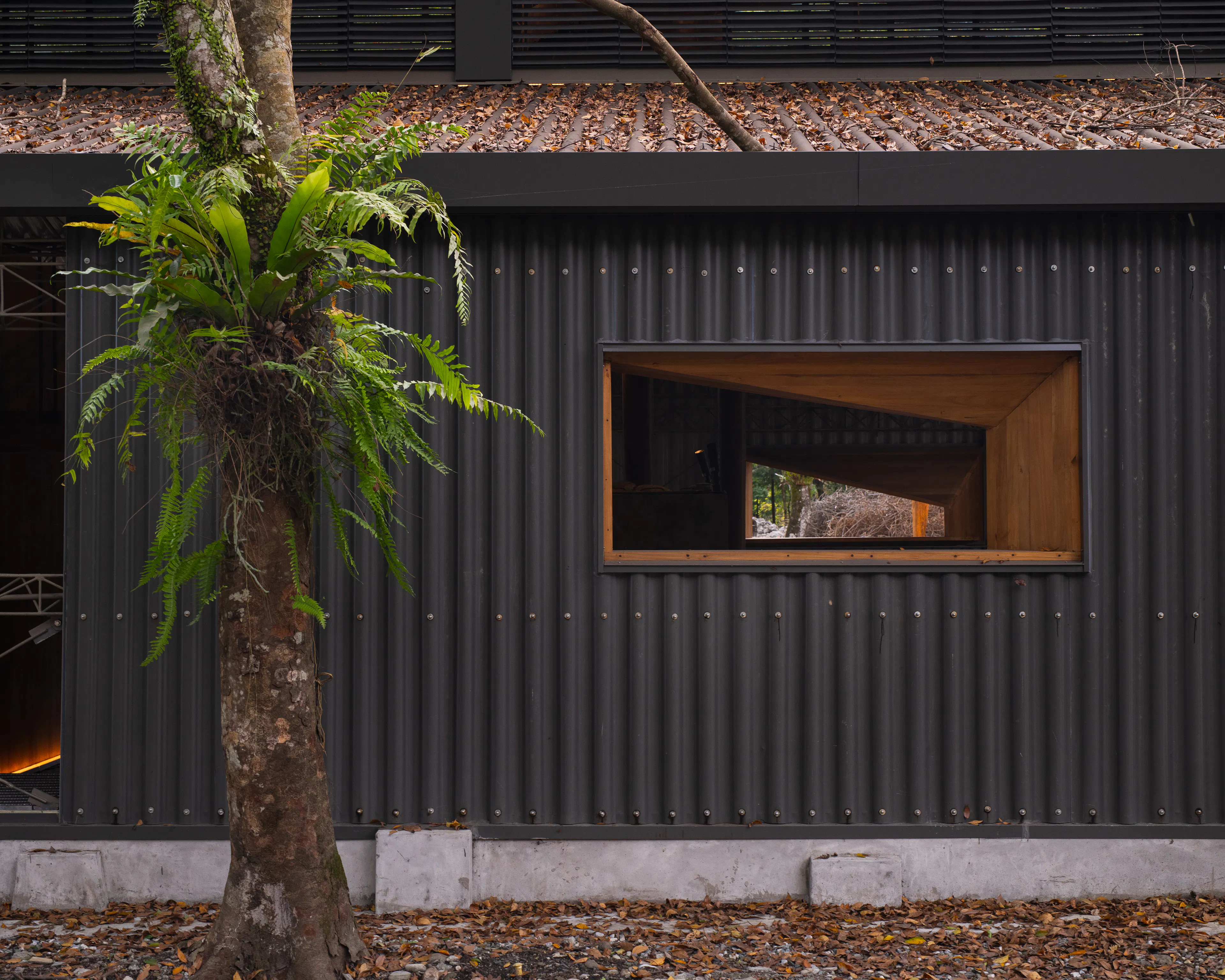 Lintianshan Forestry Culture Park - Charcoal Factory — 4