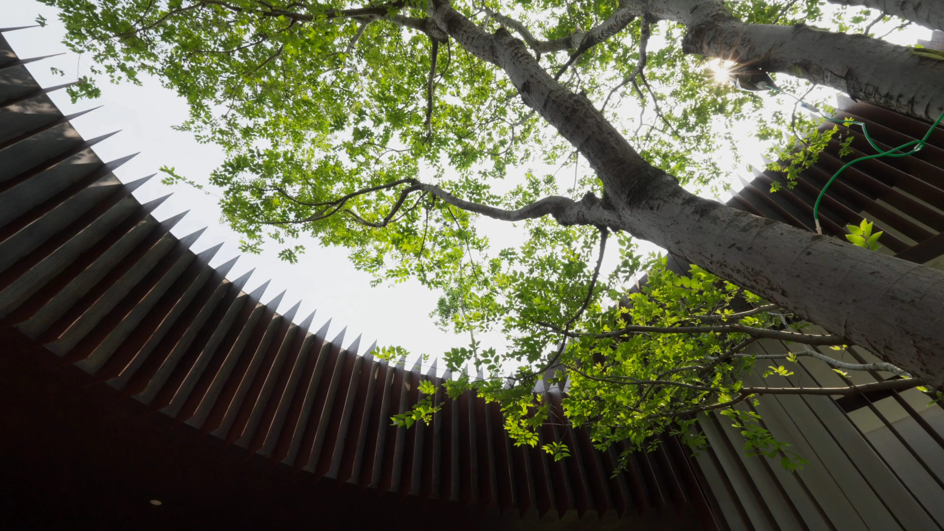 Qiaochengbei Park Visitor Center — 16