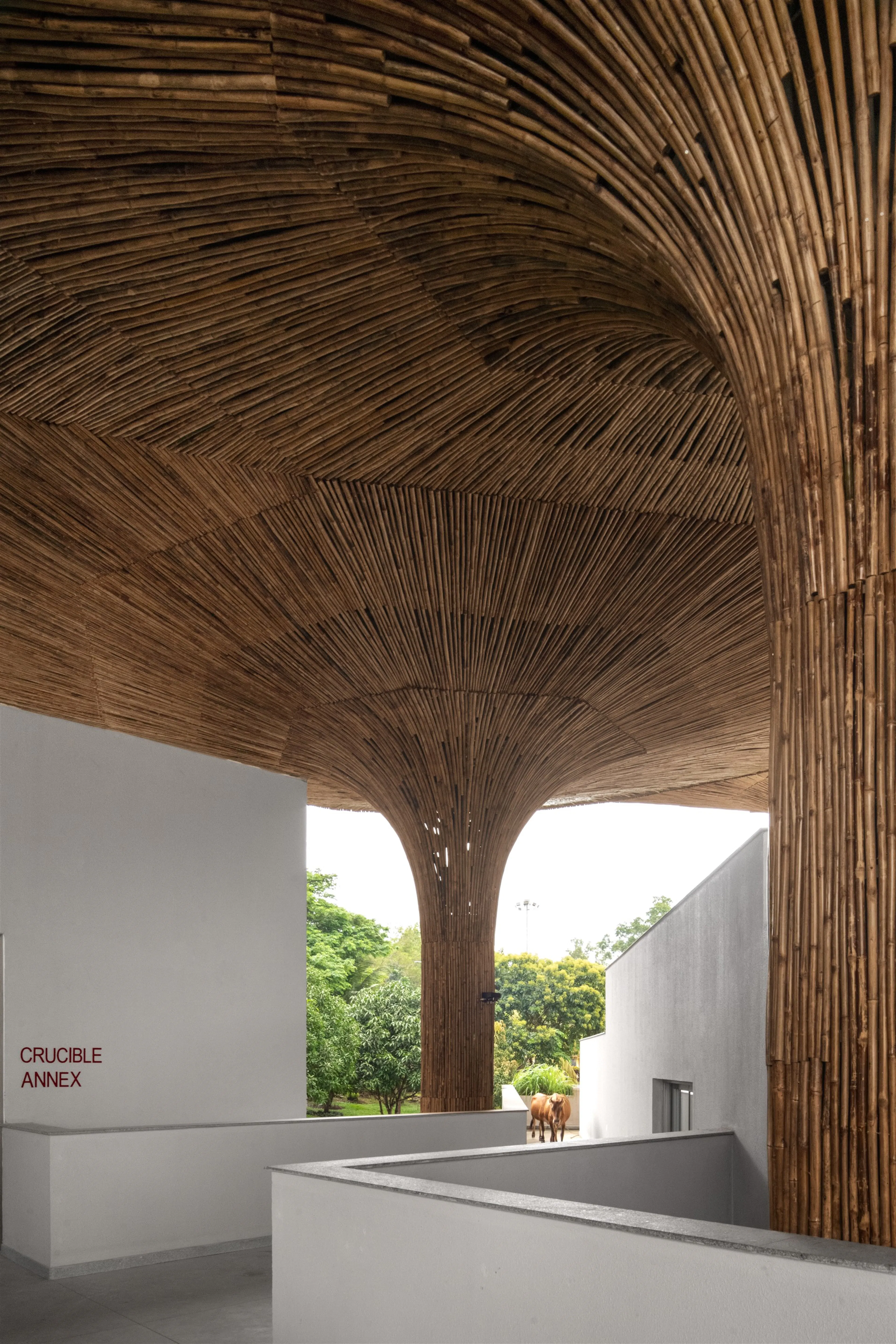 Centre for Inclusive Growth & Competitiveness for Tapmi — 8