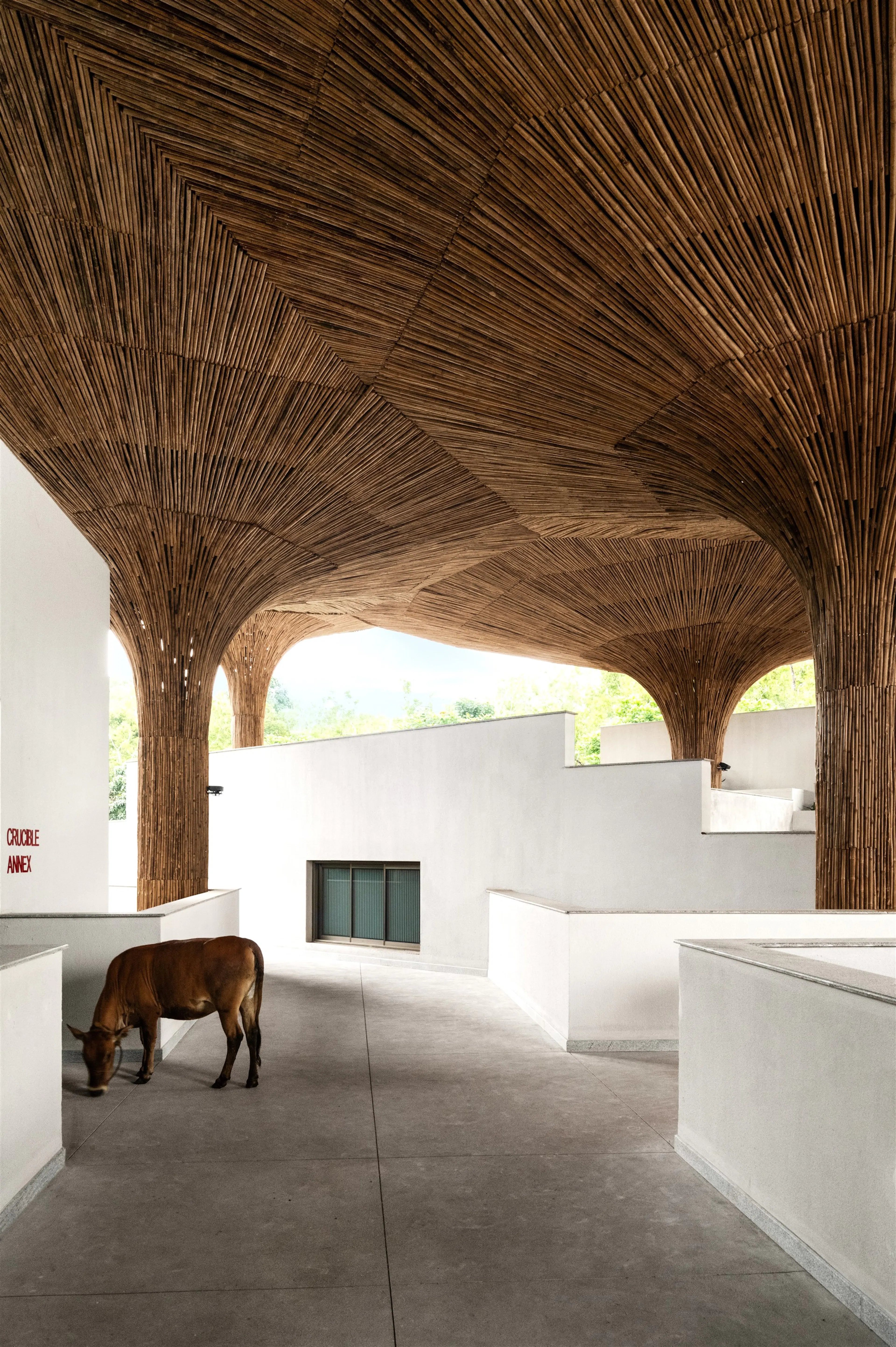 Centre for Inclusive Growth & Competitiveness for Tapmi — 11