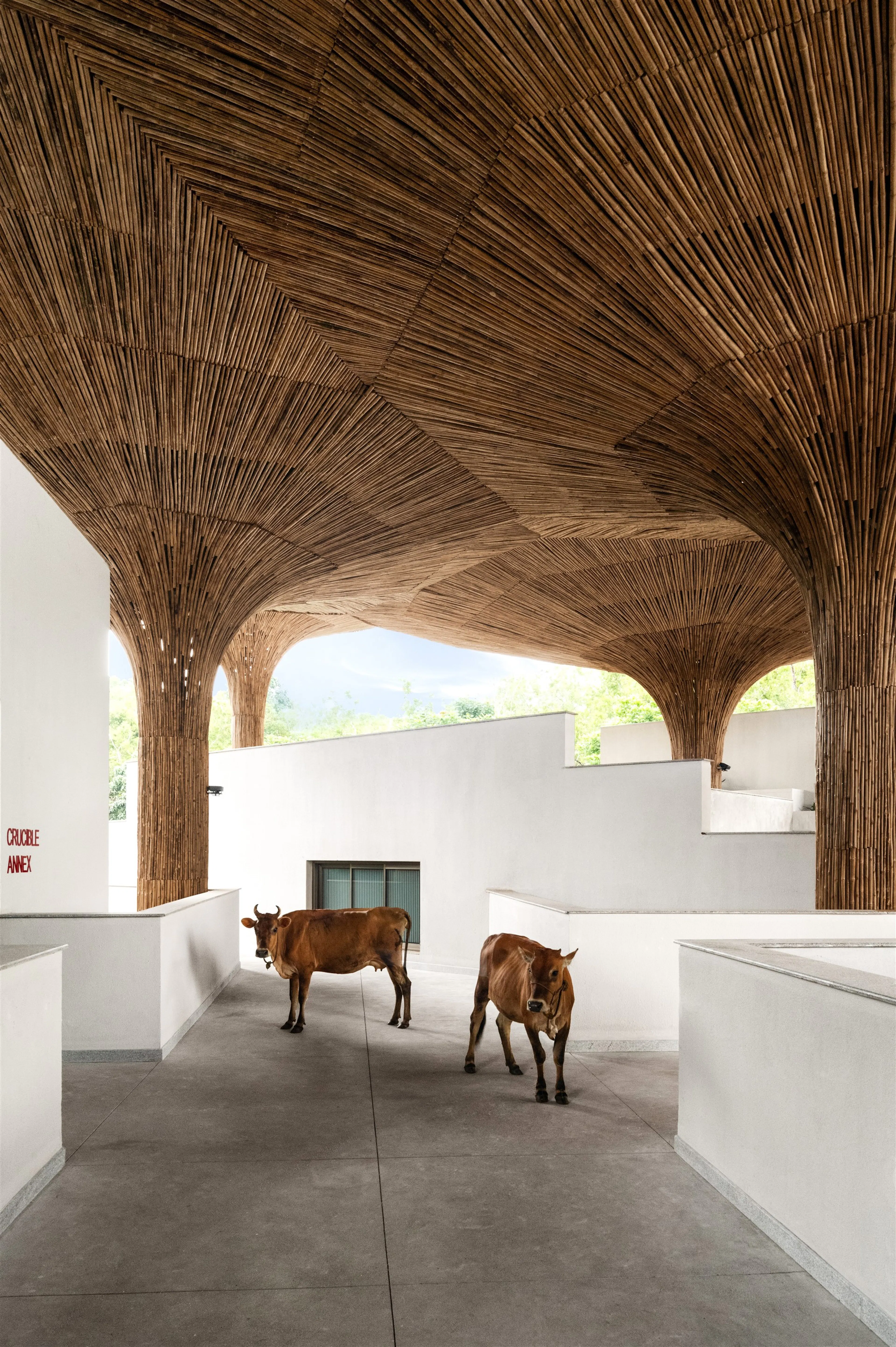 Centre for Inclusive Growth & Competitiveness for Tapmi — 12