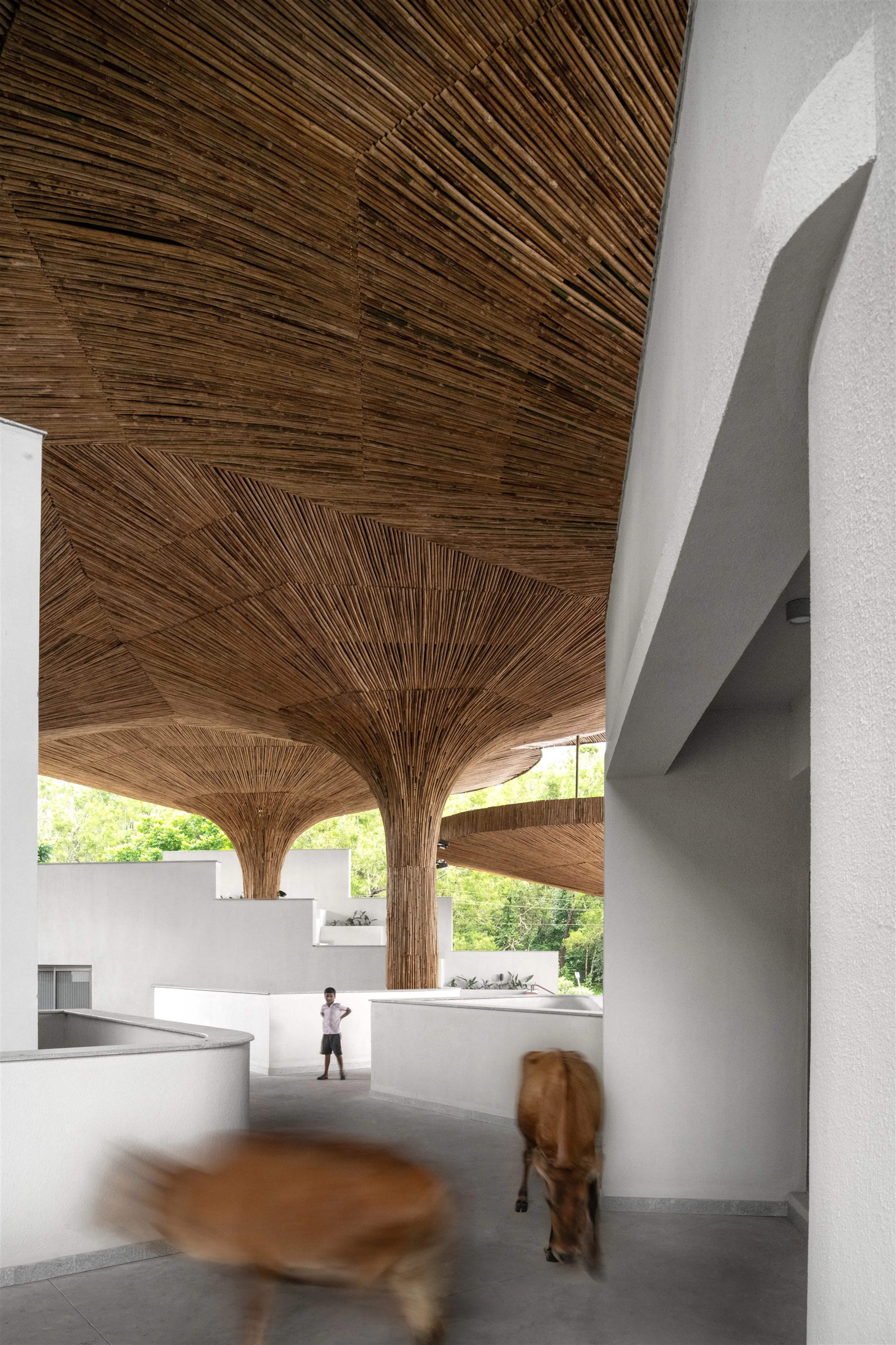 Centre for Inclusive Growth & Competitiveness for Tapmi — 13