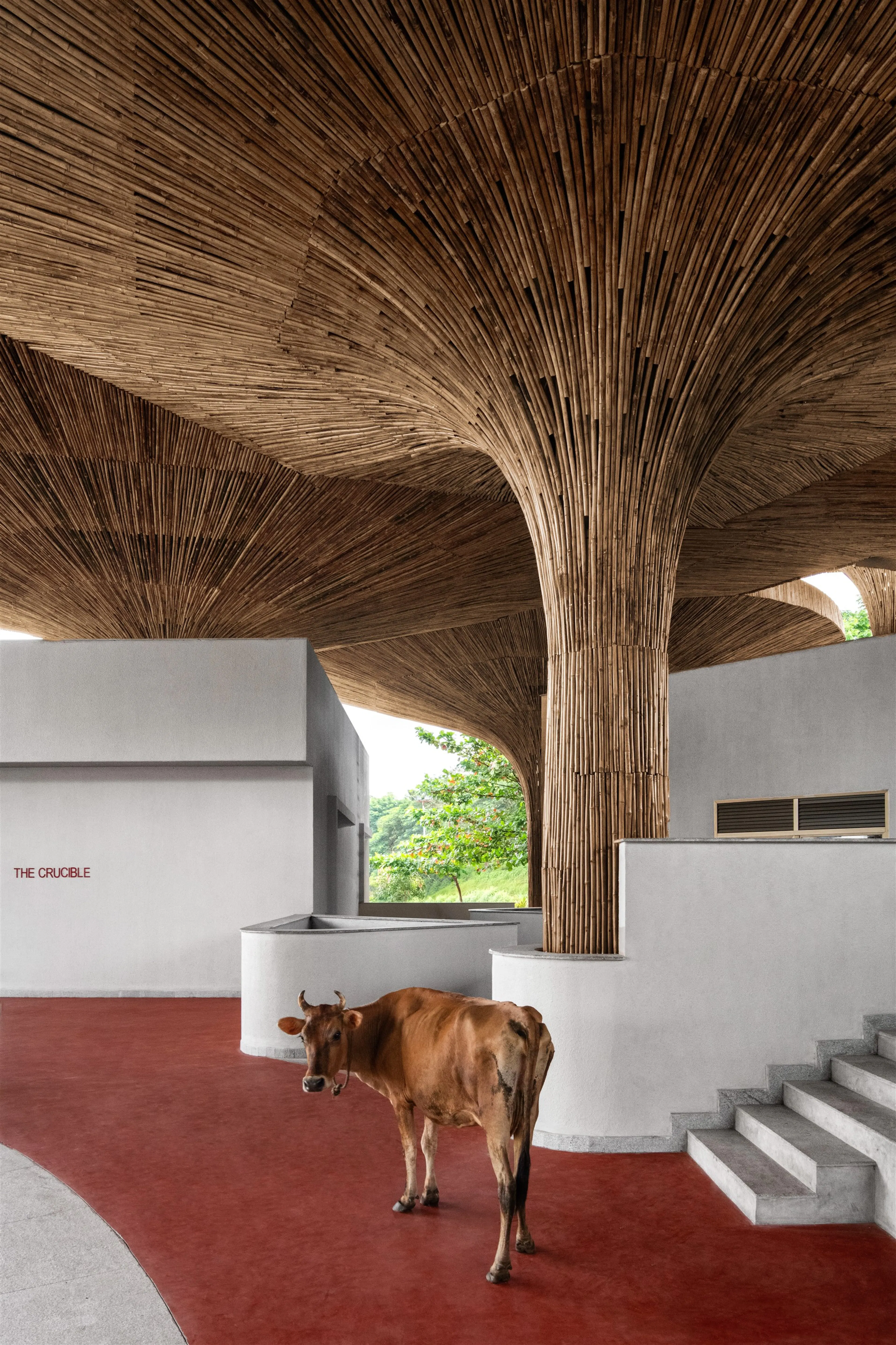 Centre for Inclusive Growth & Competitiveness for Tapmi — 14