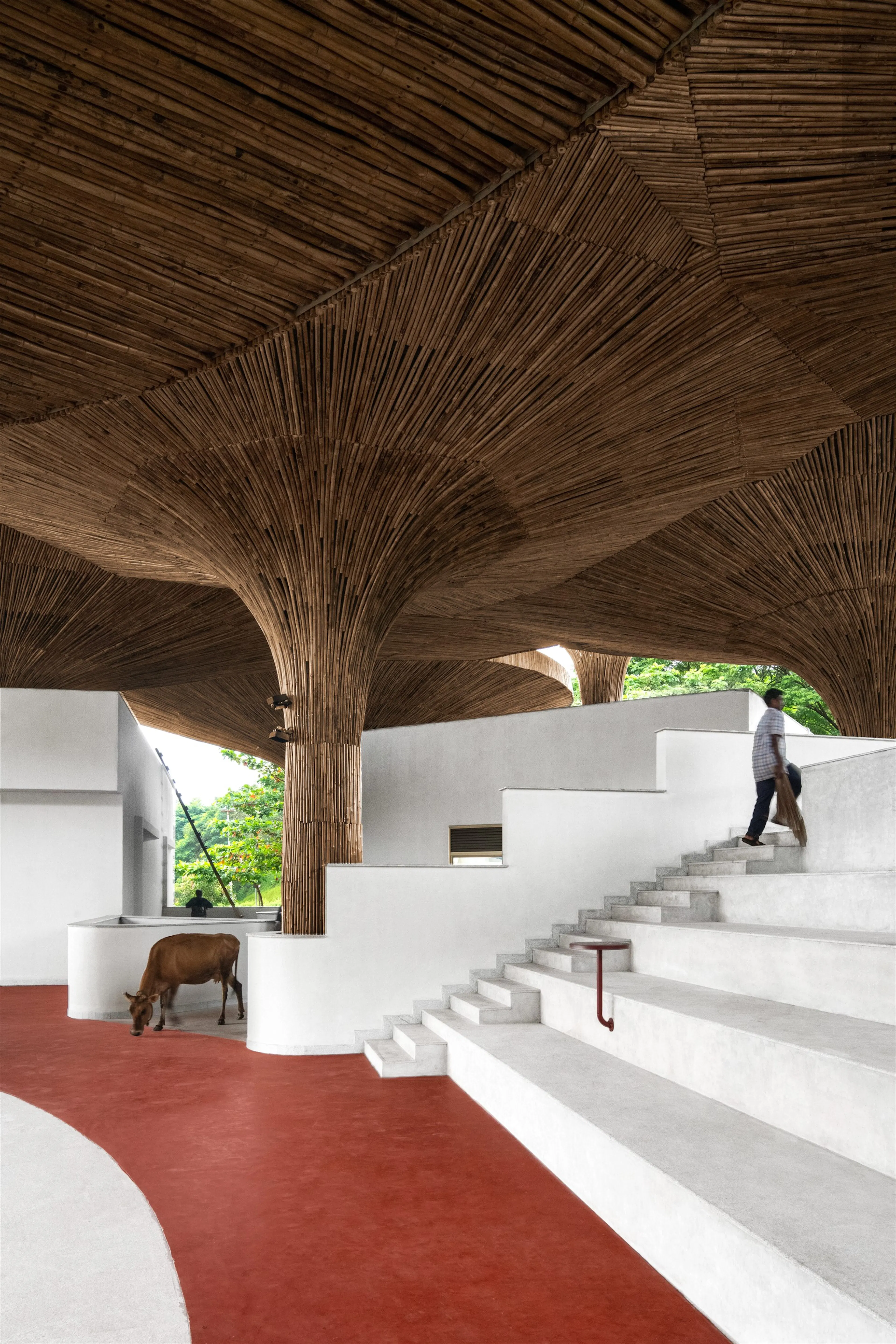 Centre for Inclusive Growth & Competitiveness for Tapmi — 16