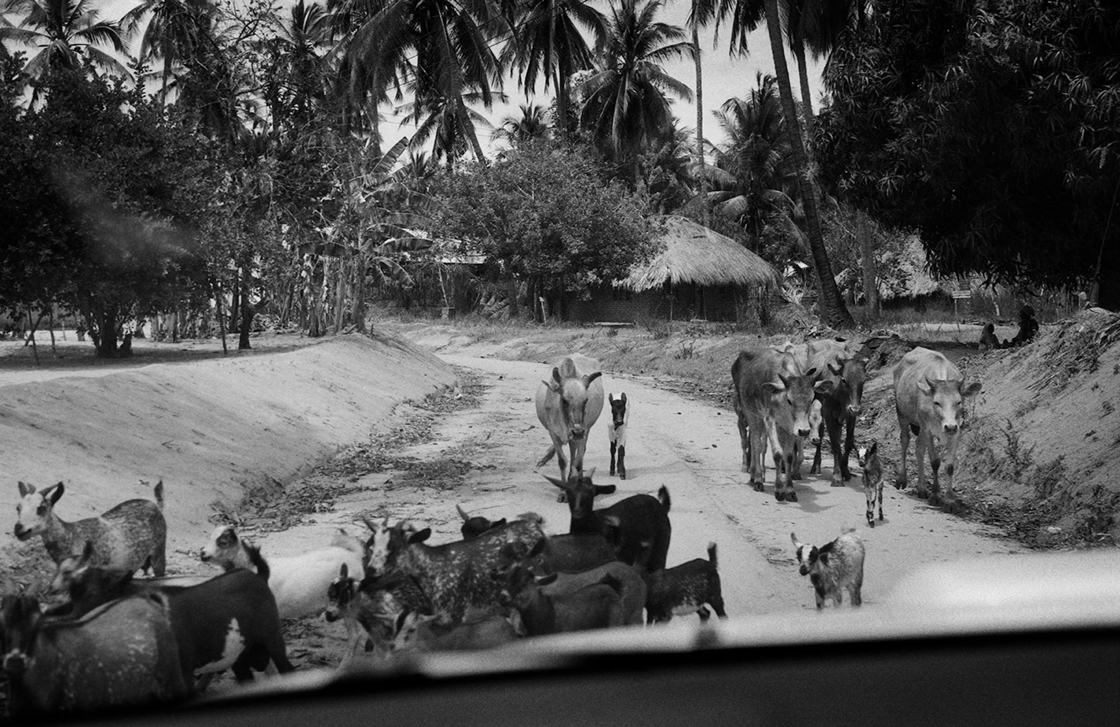 Star Homes - Tanzania — 18