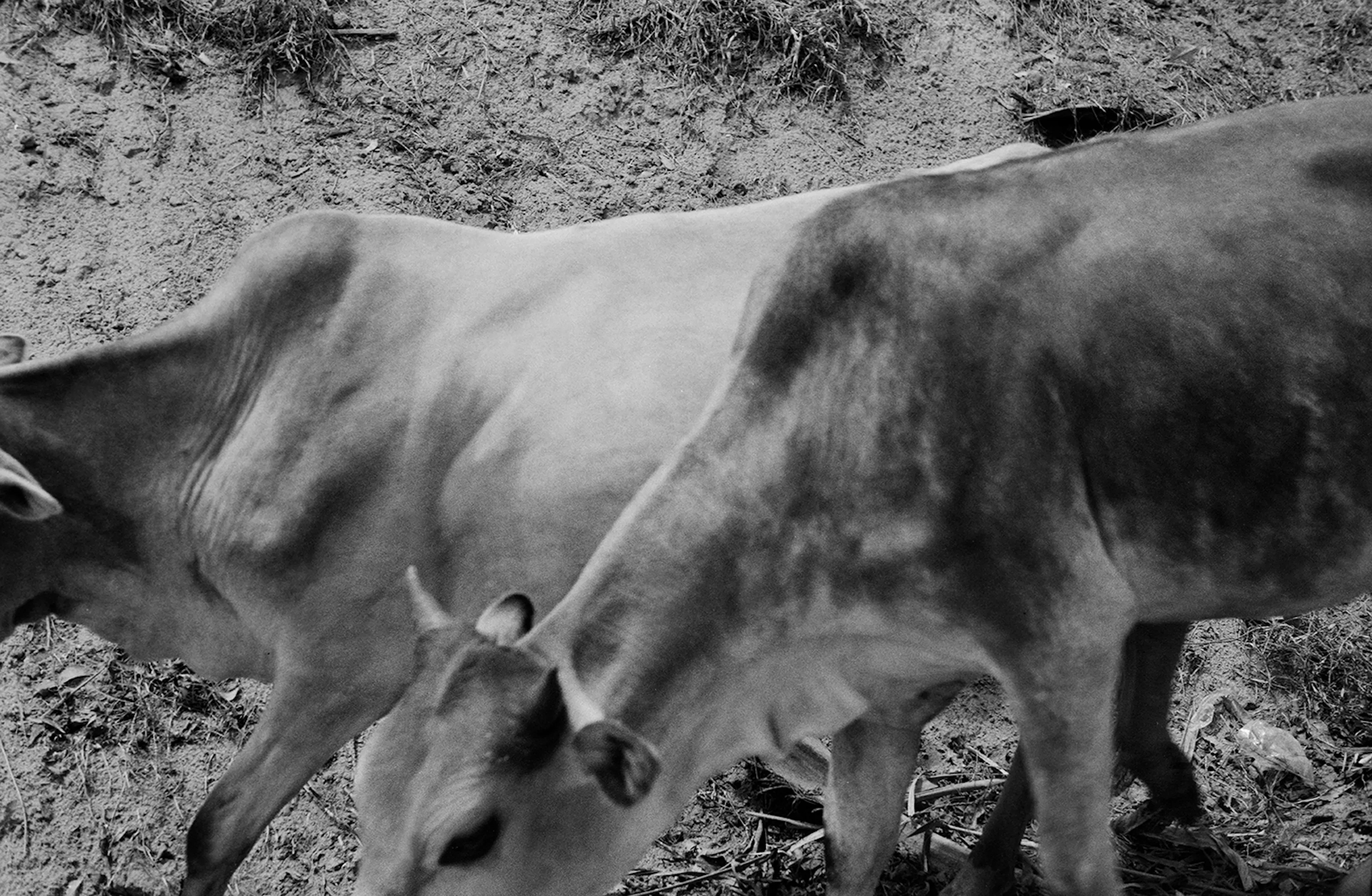 Star Homes - Tanzania — 20