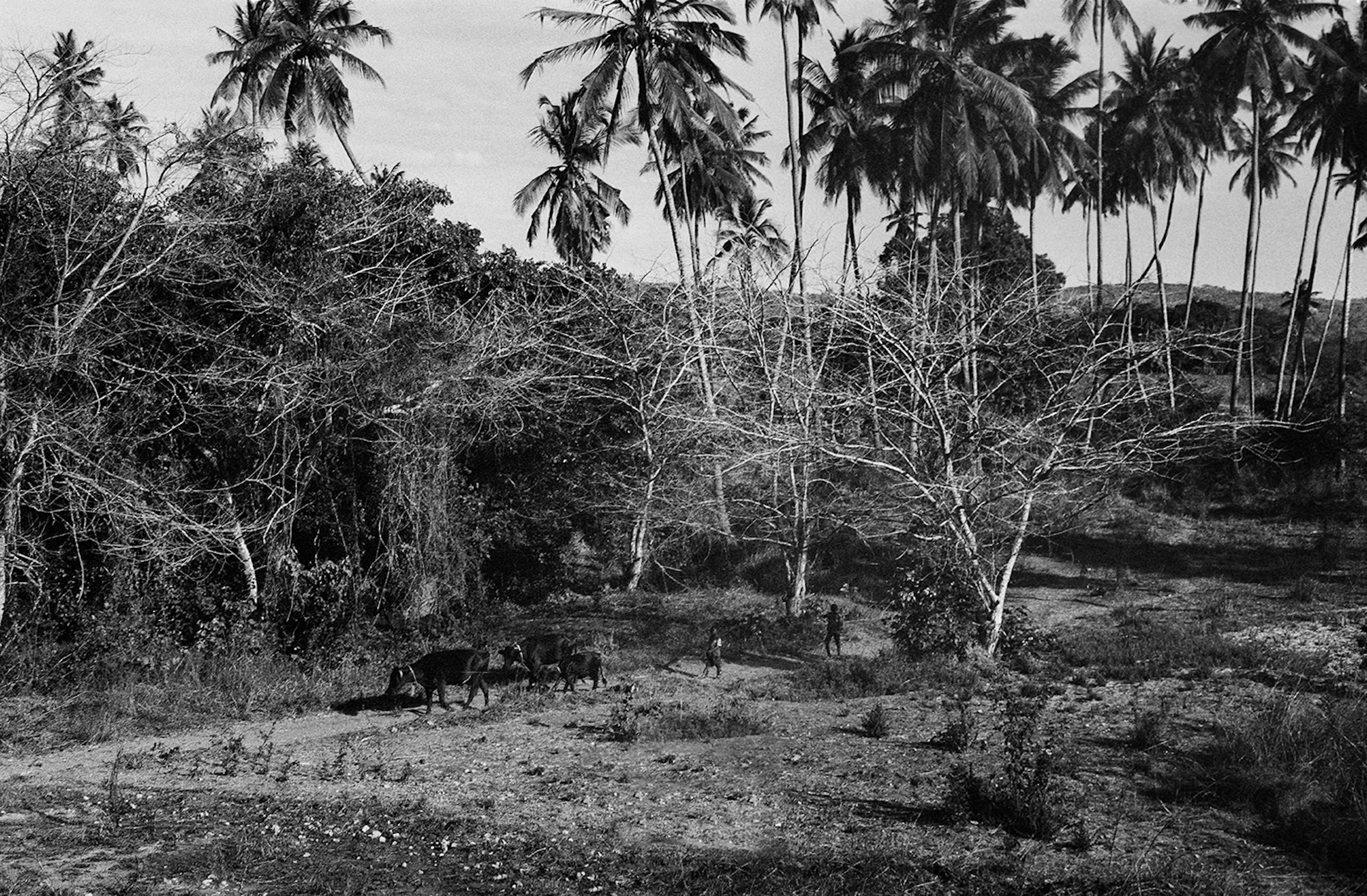 Star Homes - Tanzania — 31