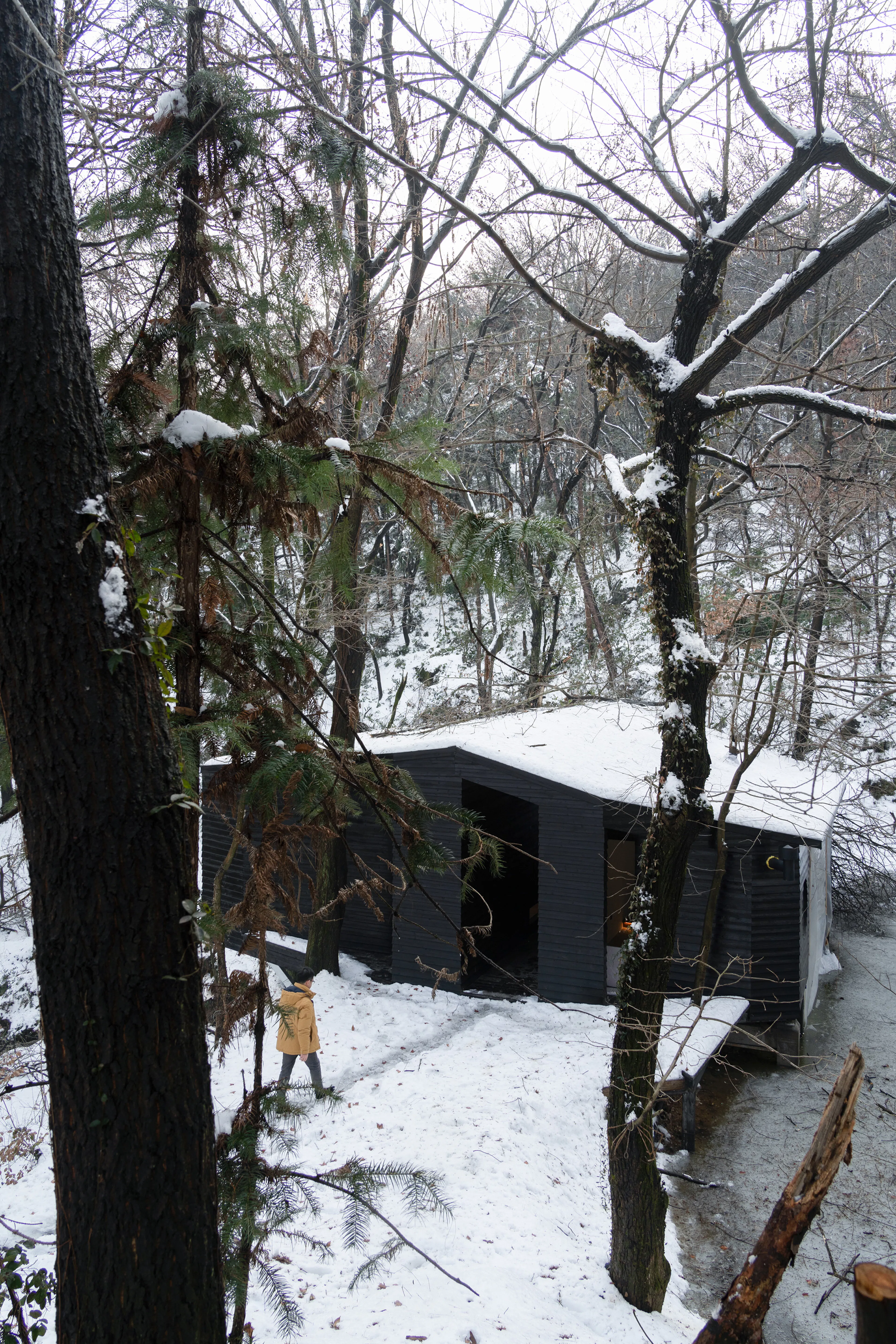 Aquatree Resort Healing Cabin - Deep tranquility — 6