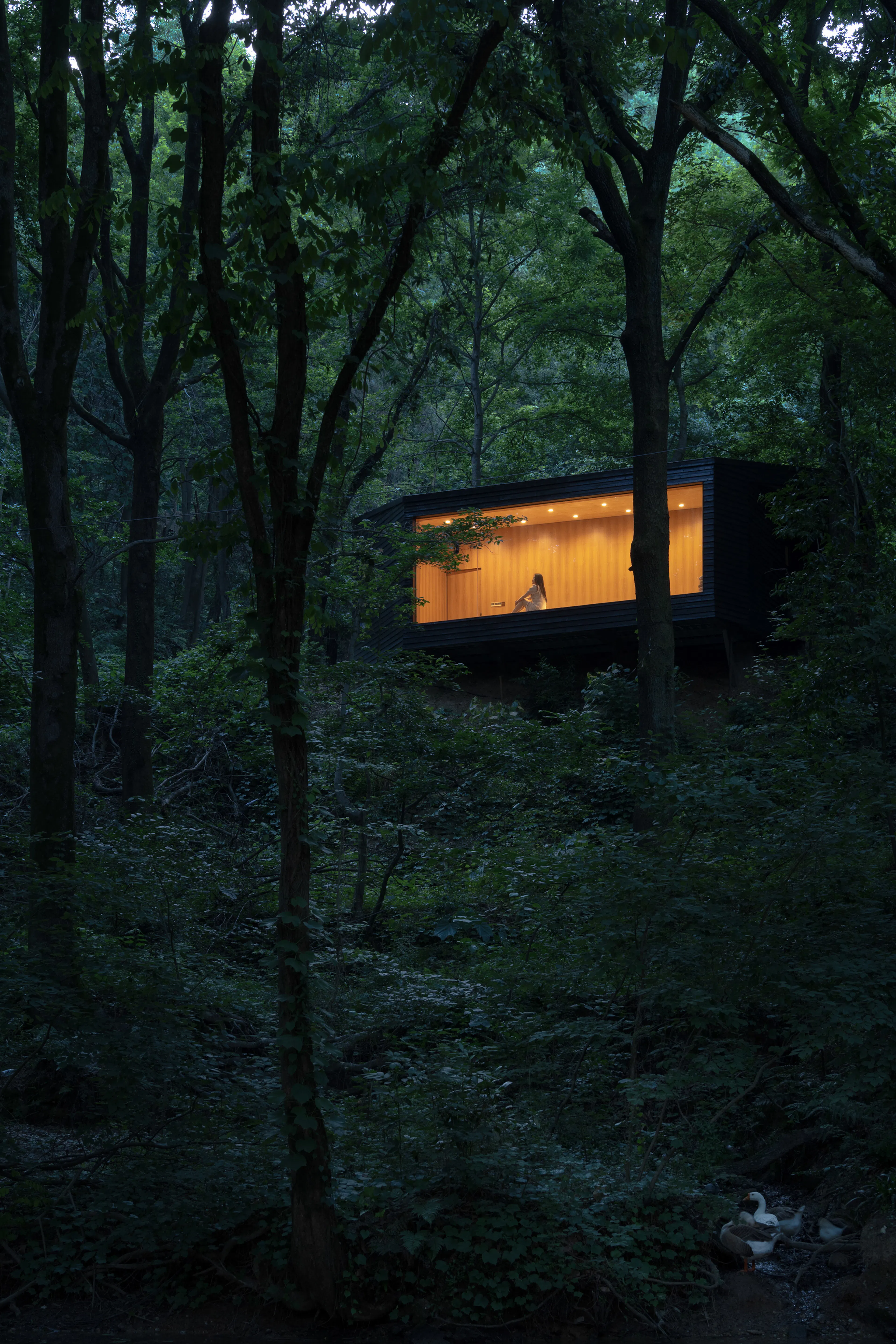 Aquatree Resort Healing Cabin - Deep tranquility — 3