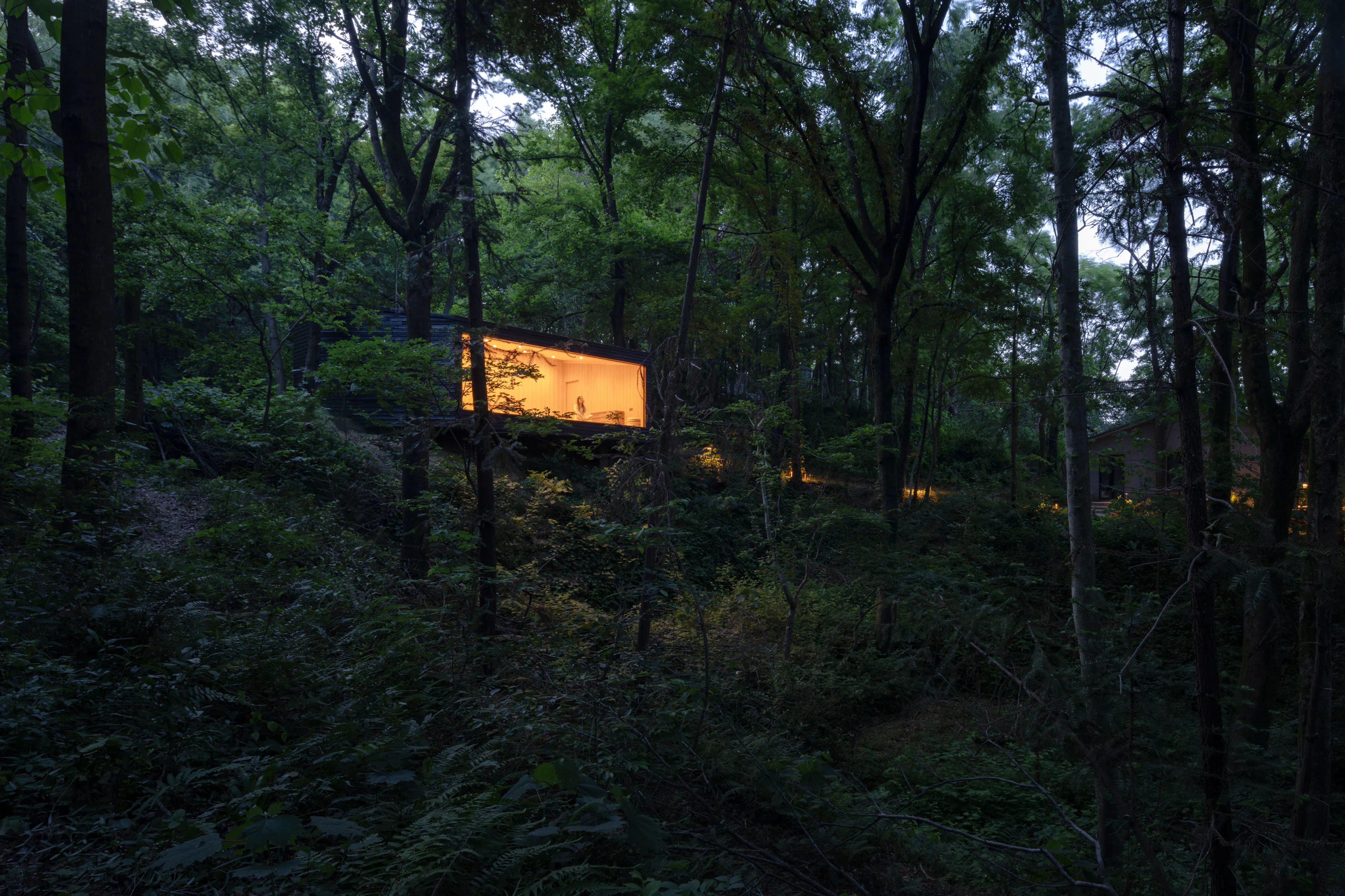 Aquatree Resort Healing Cabin - Deep tranquility — 2