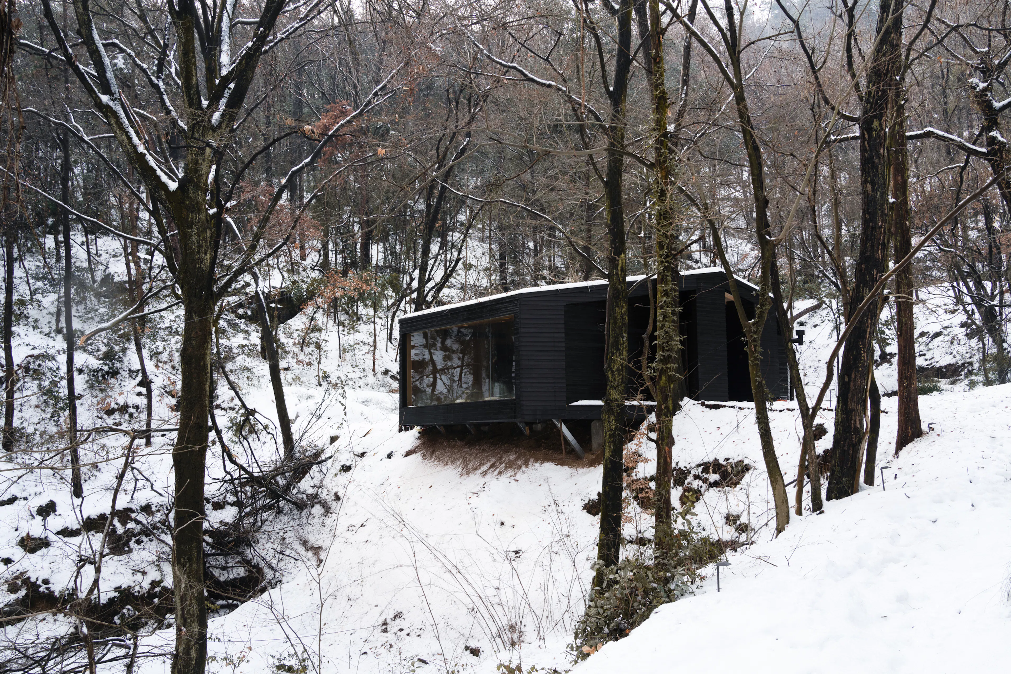 Aquatree Resort Healing Cabin - Deep tranquility — 5