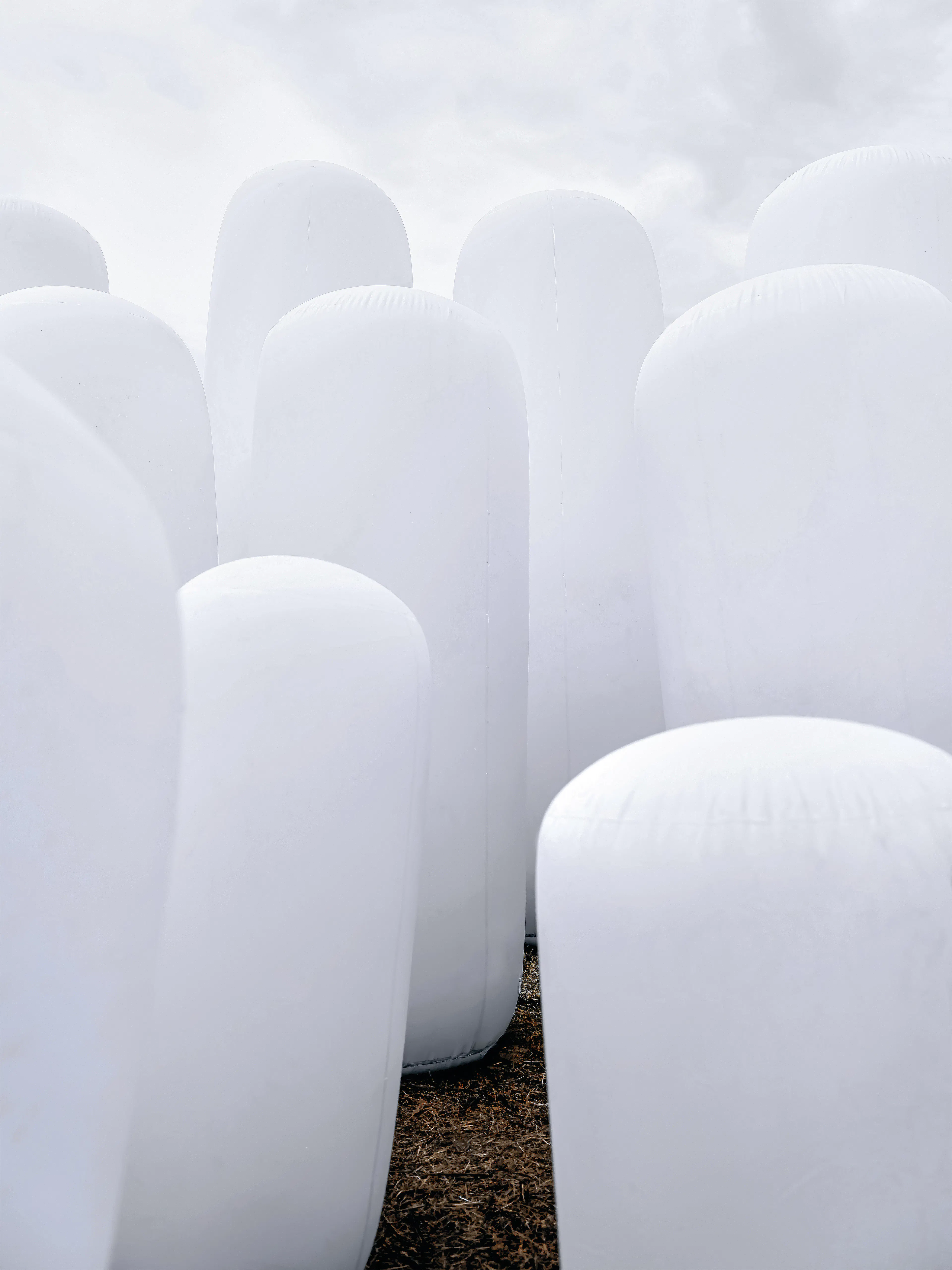 Dancing Stone Forest — 8