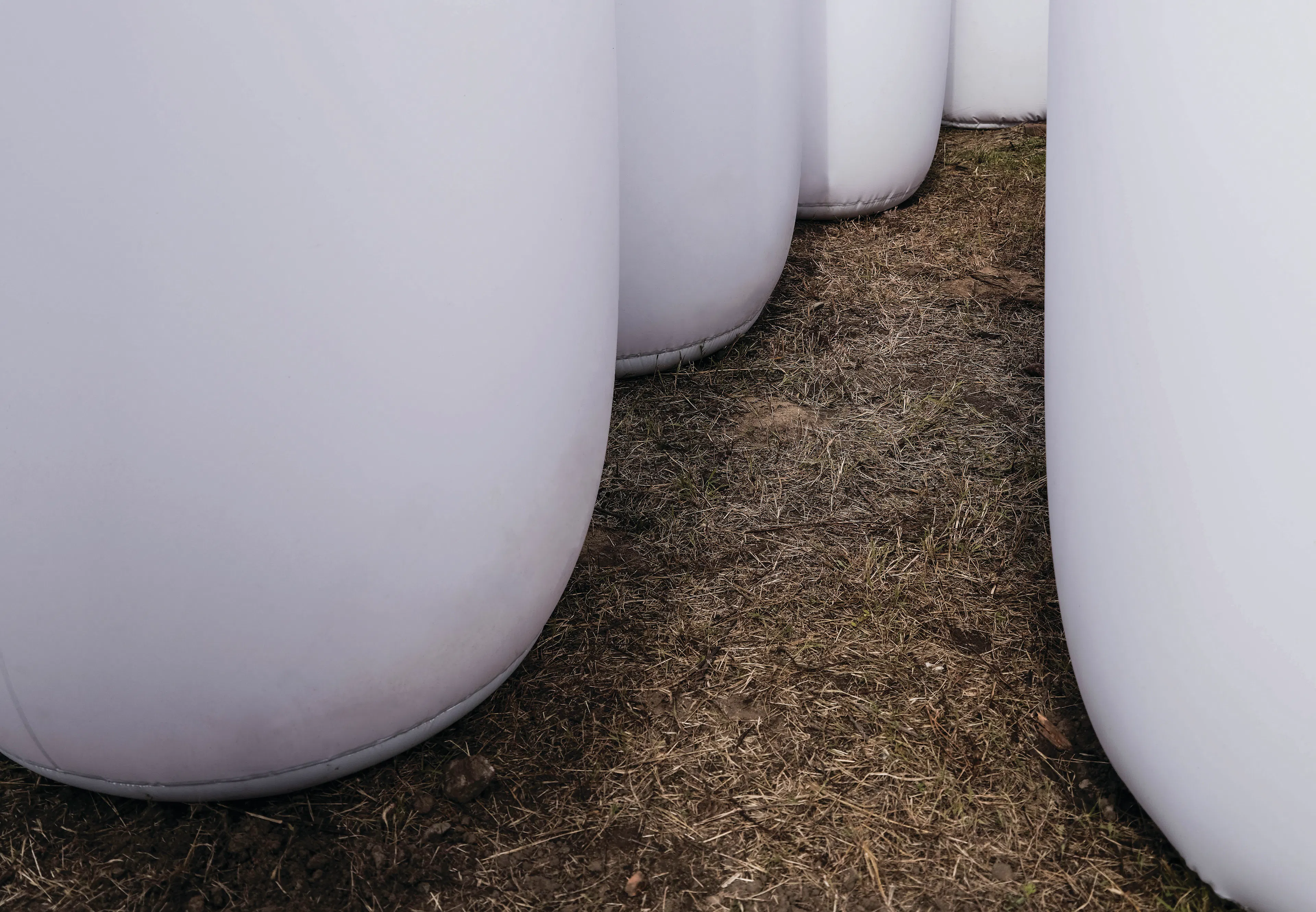 Dancing Stone Forest — 5