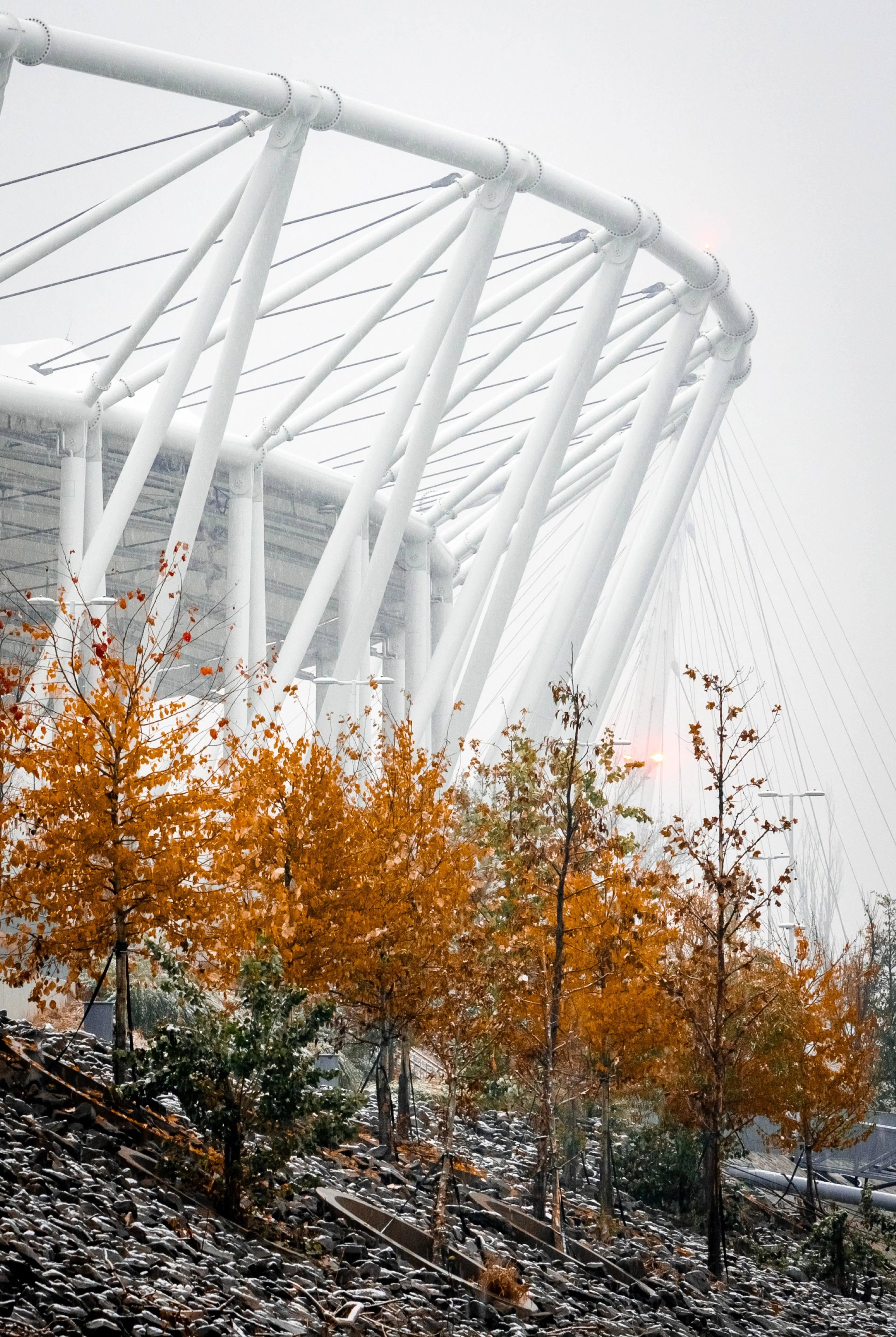 OPEN ARENA | National Athletics Center, Budapest — 14