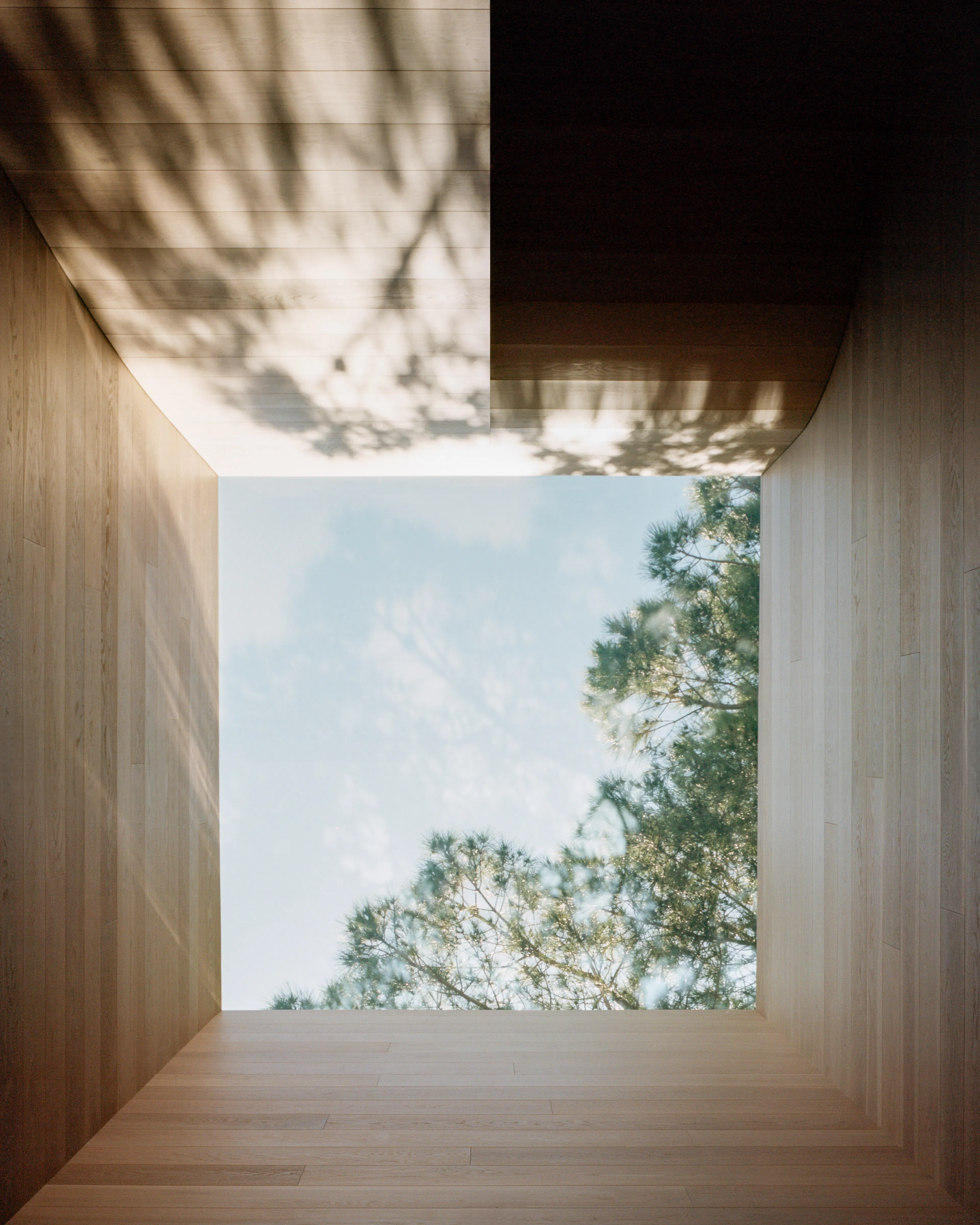 House of Horns — 21