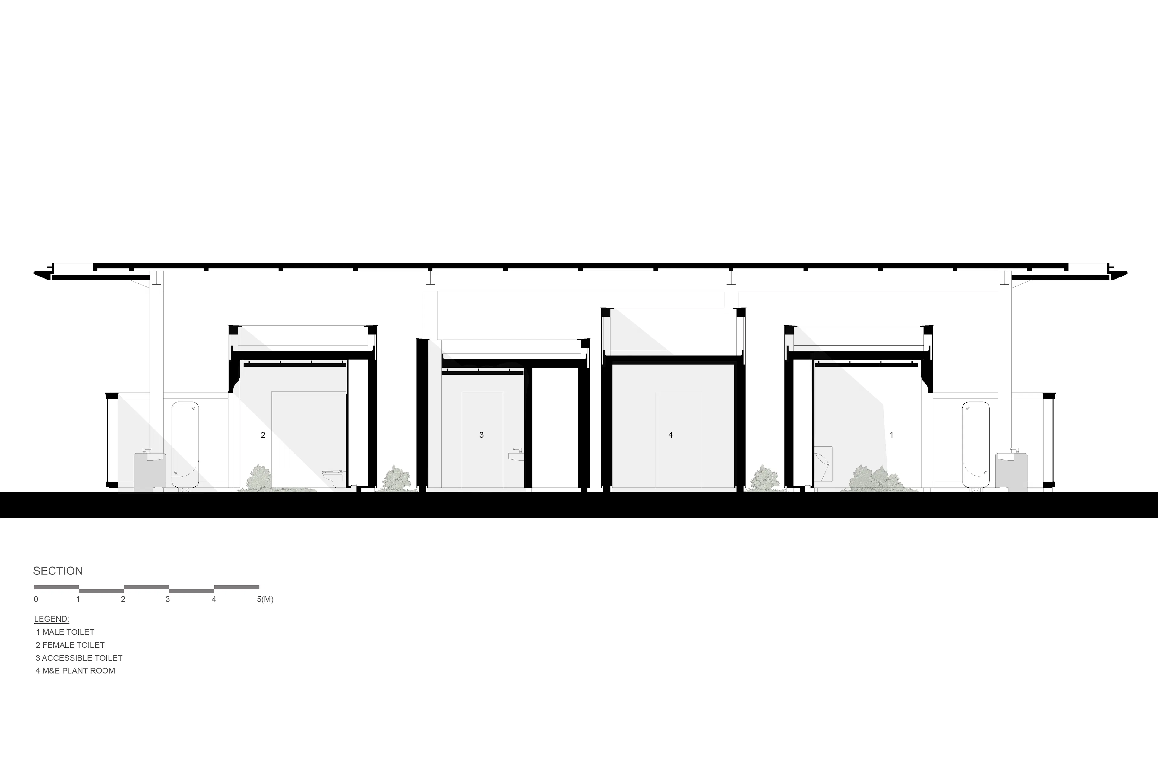 Tamar Toilet Advancement — 11