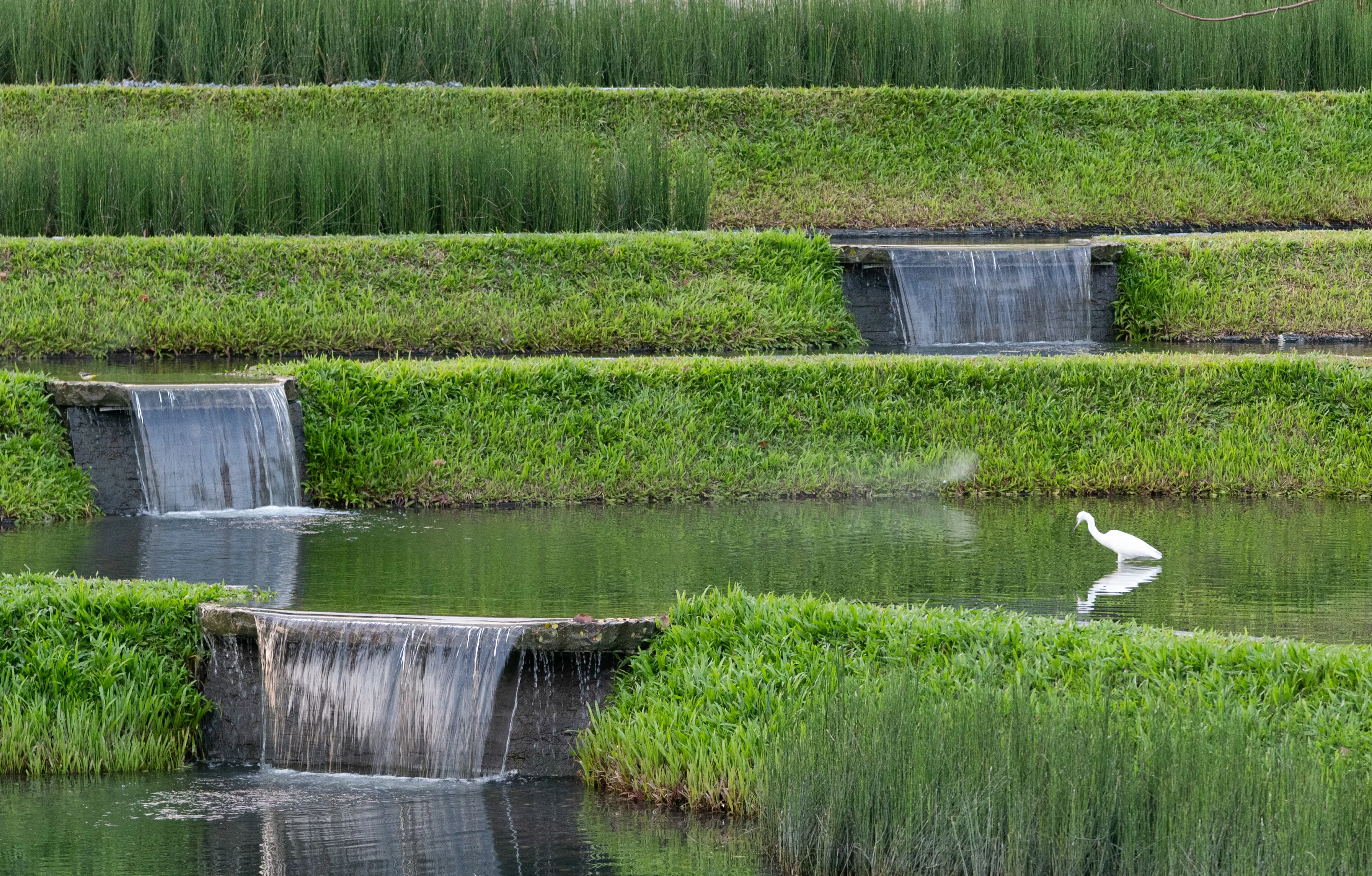 Sanya Guanlan Terrace Garden — 5