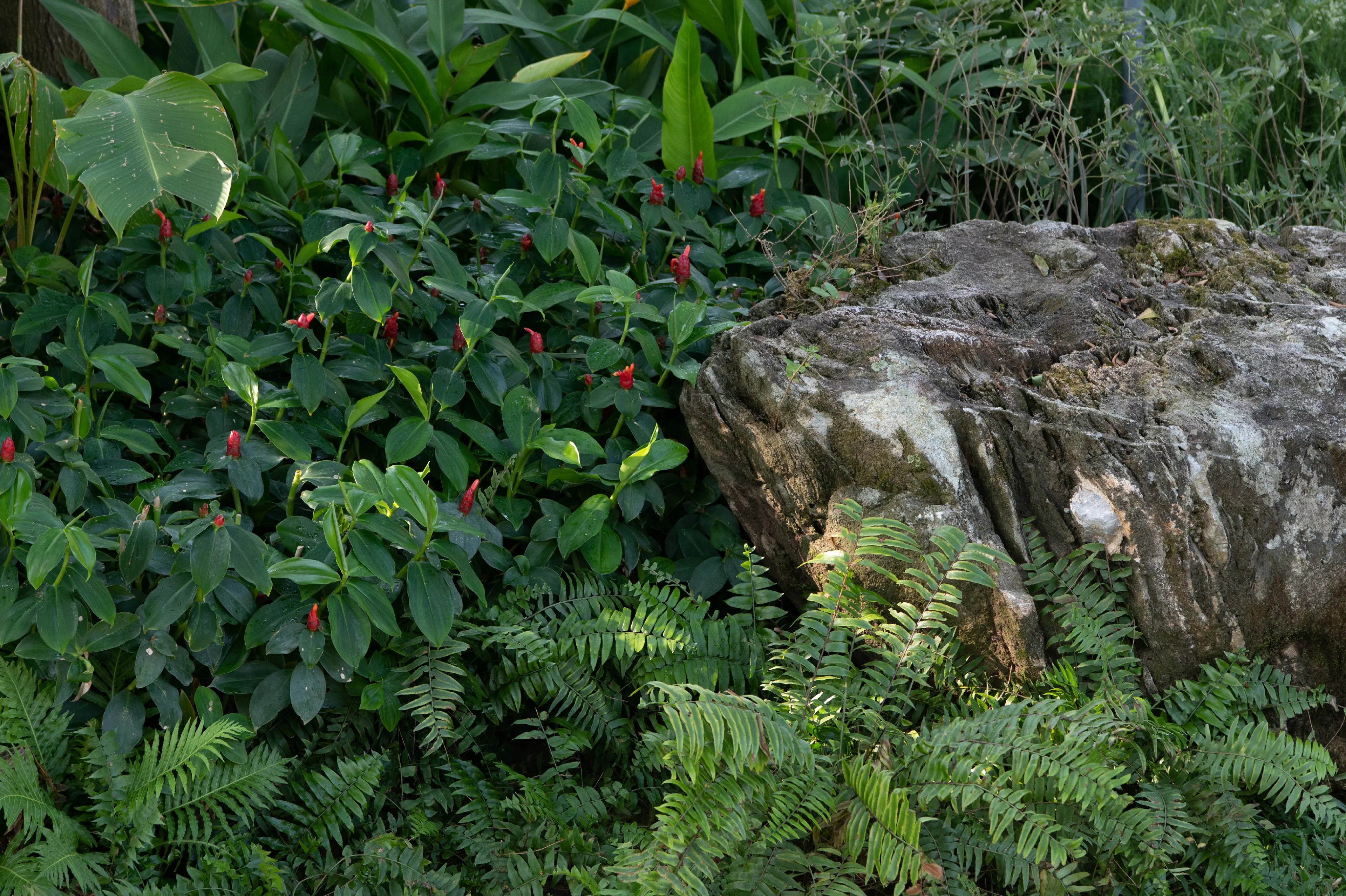 Sanya Guanlan Terrace Garden — 23