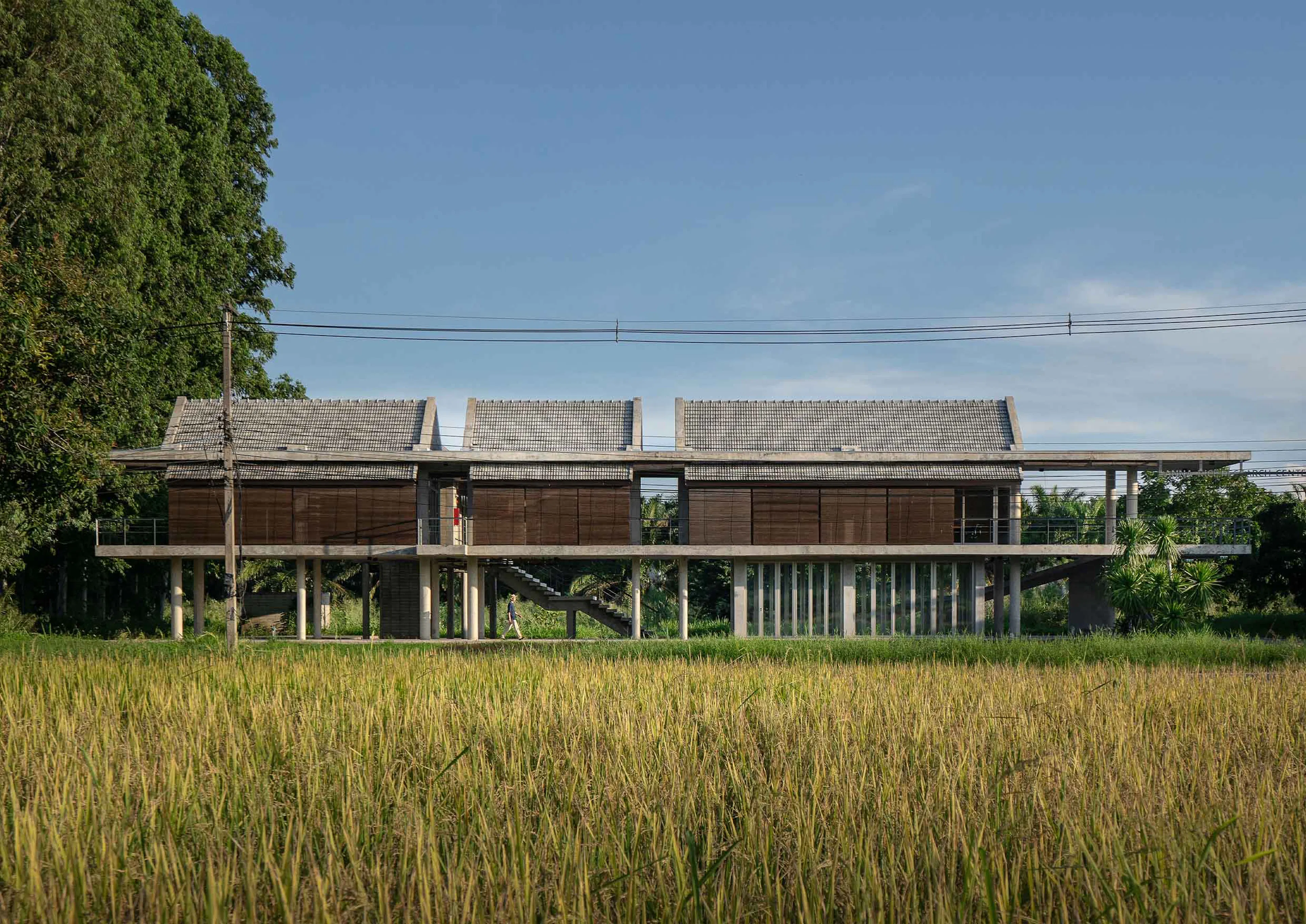 Lanna Rice Research Center, Chiang Mai University — 2