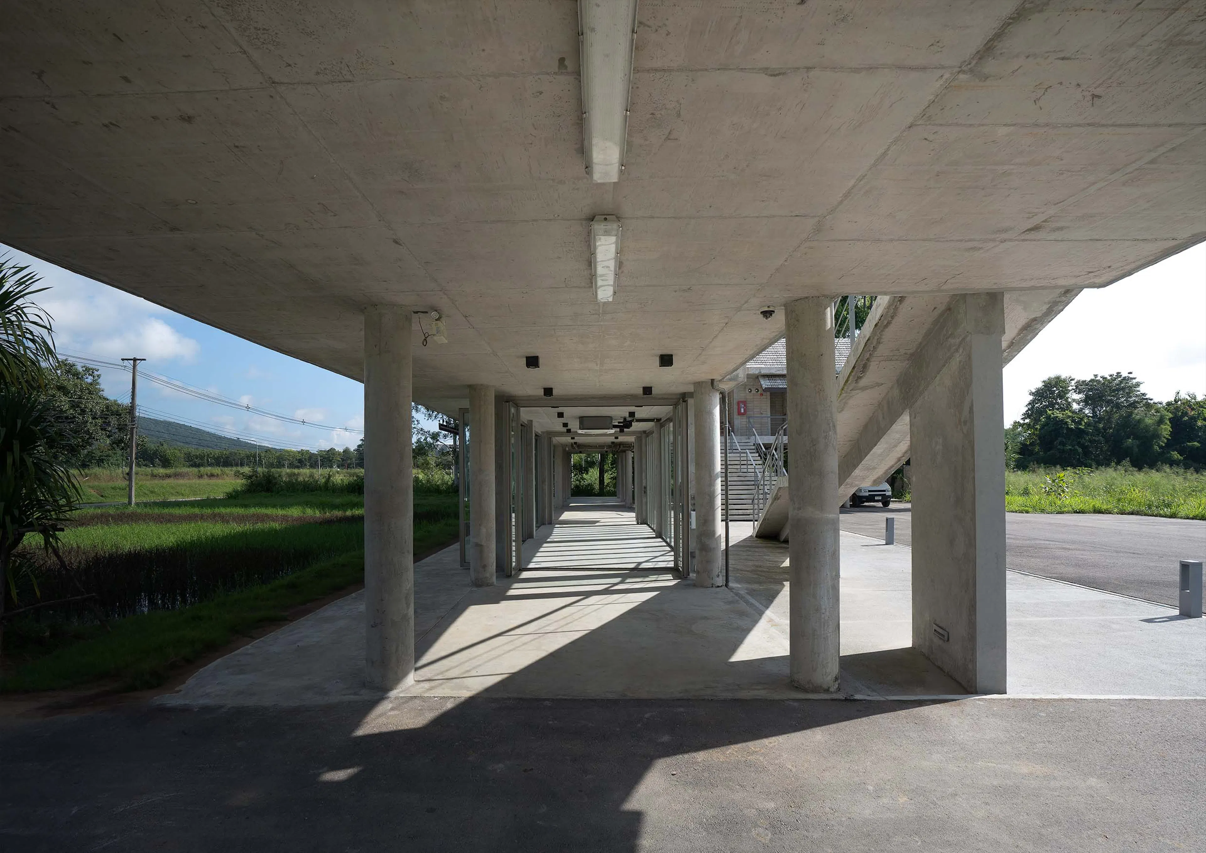 Lanna Rice Research Center, Chiang Mai University — 7