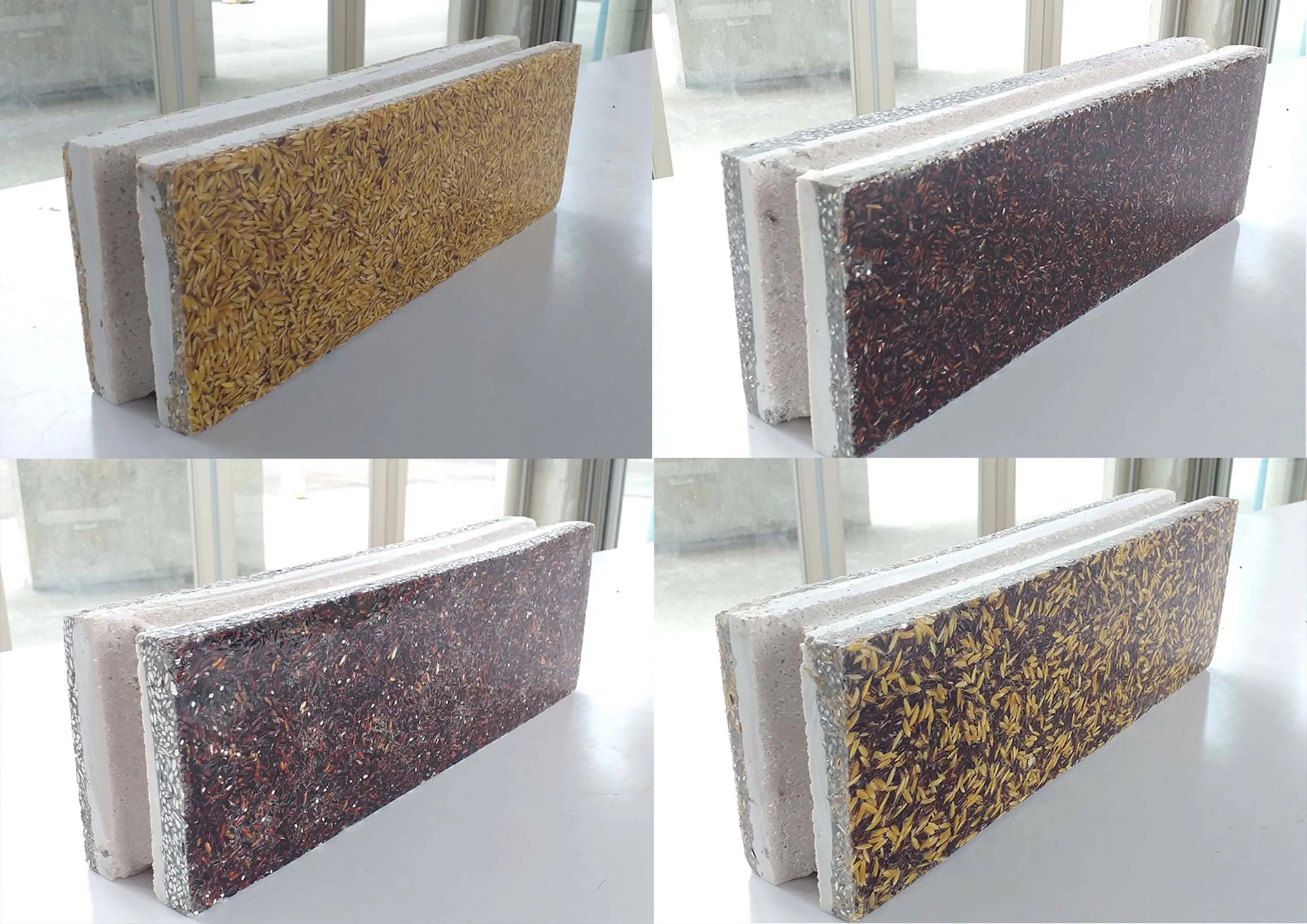 Lanna Rice Research Center, Chiang Mai University — 19