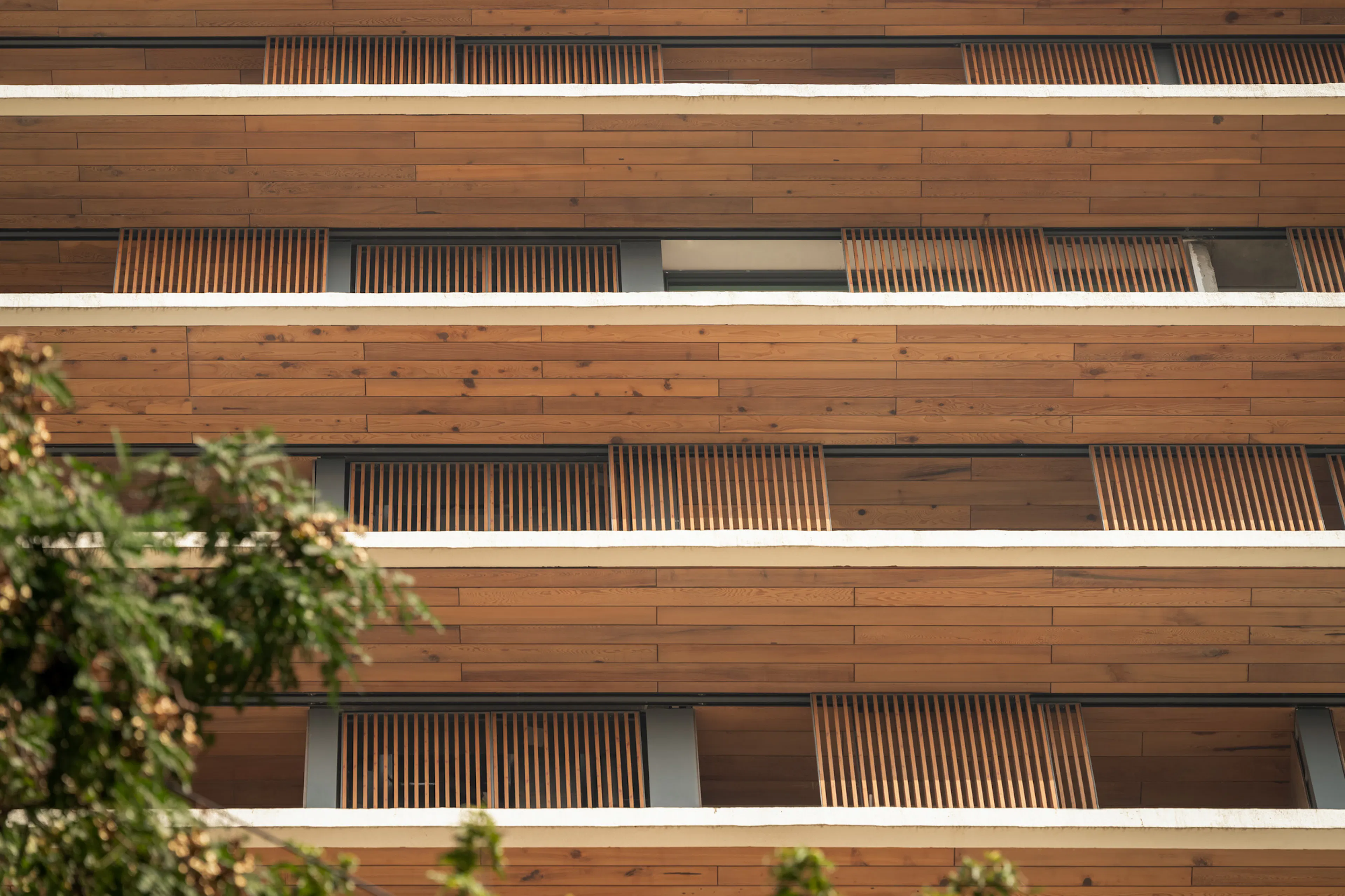 Carmichael Residences — 3