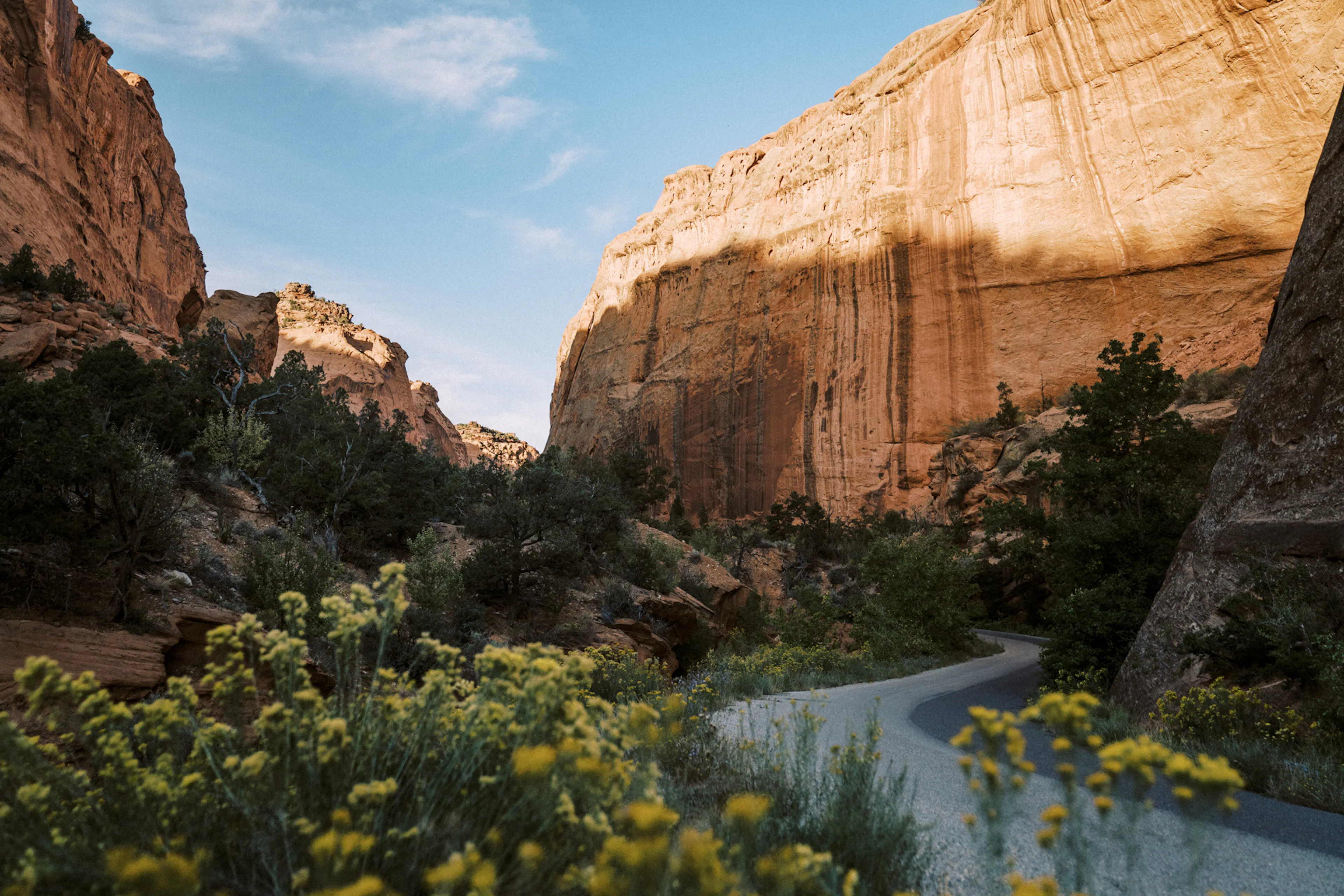 The Periphery — 31